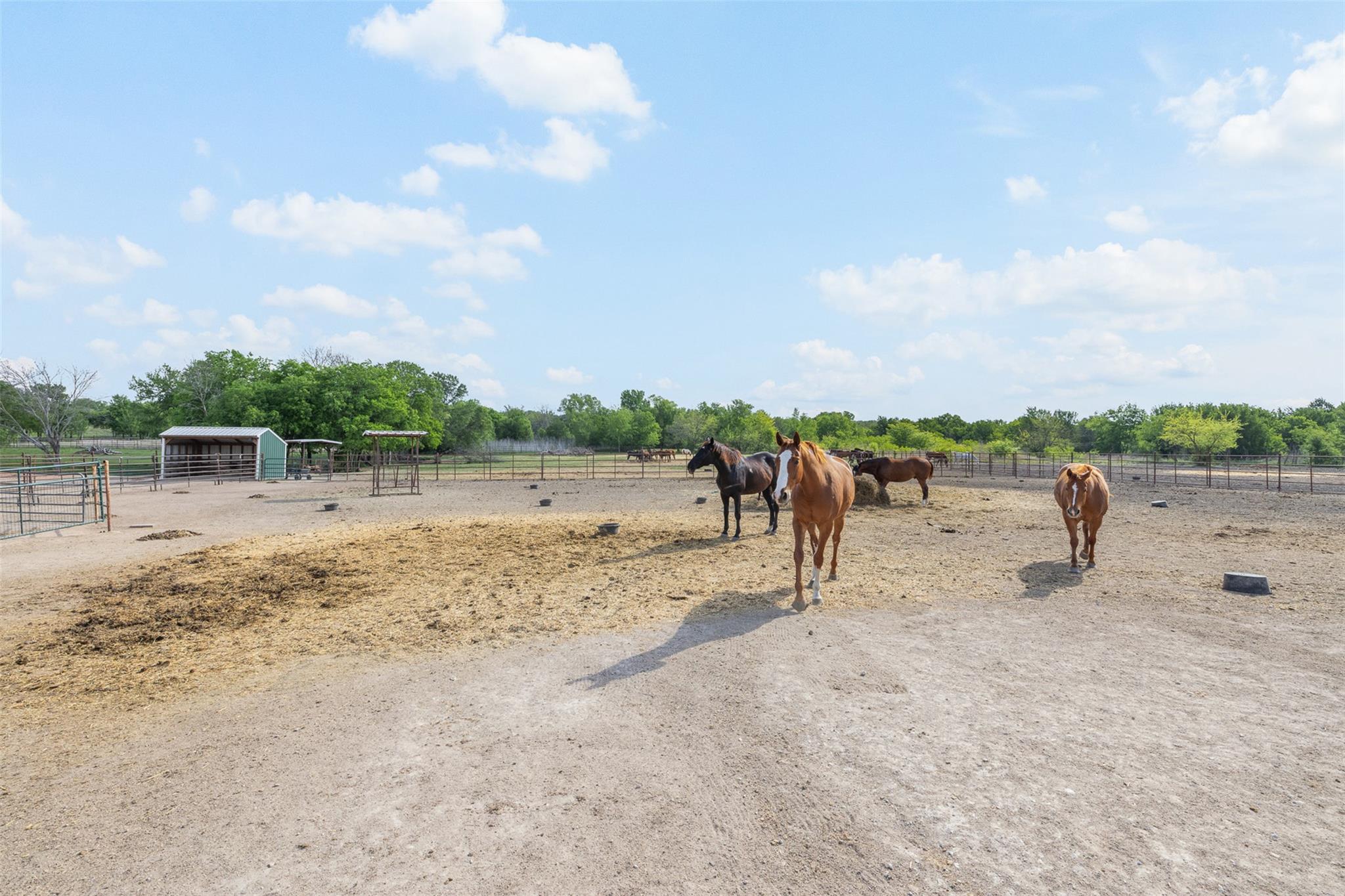 203 Saffle Rd, Waco, TX 76706