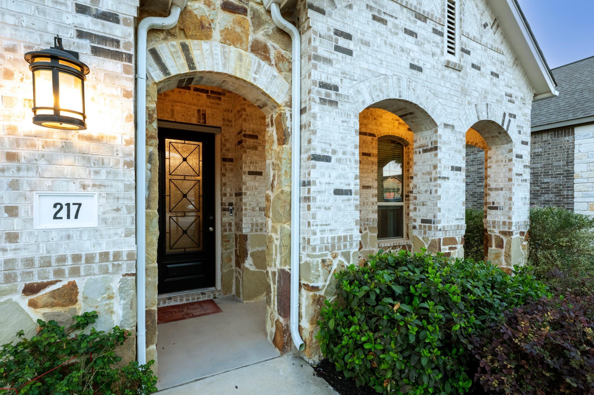 217 Mineral River Loop, Kyle, TX 78640