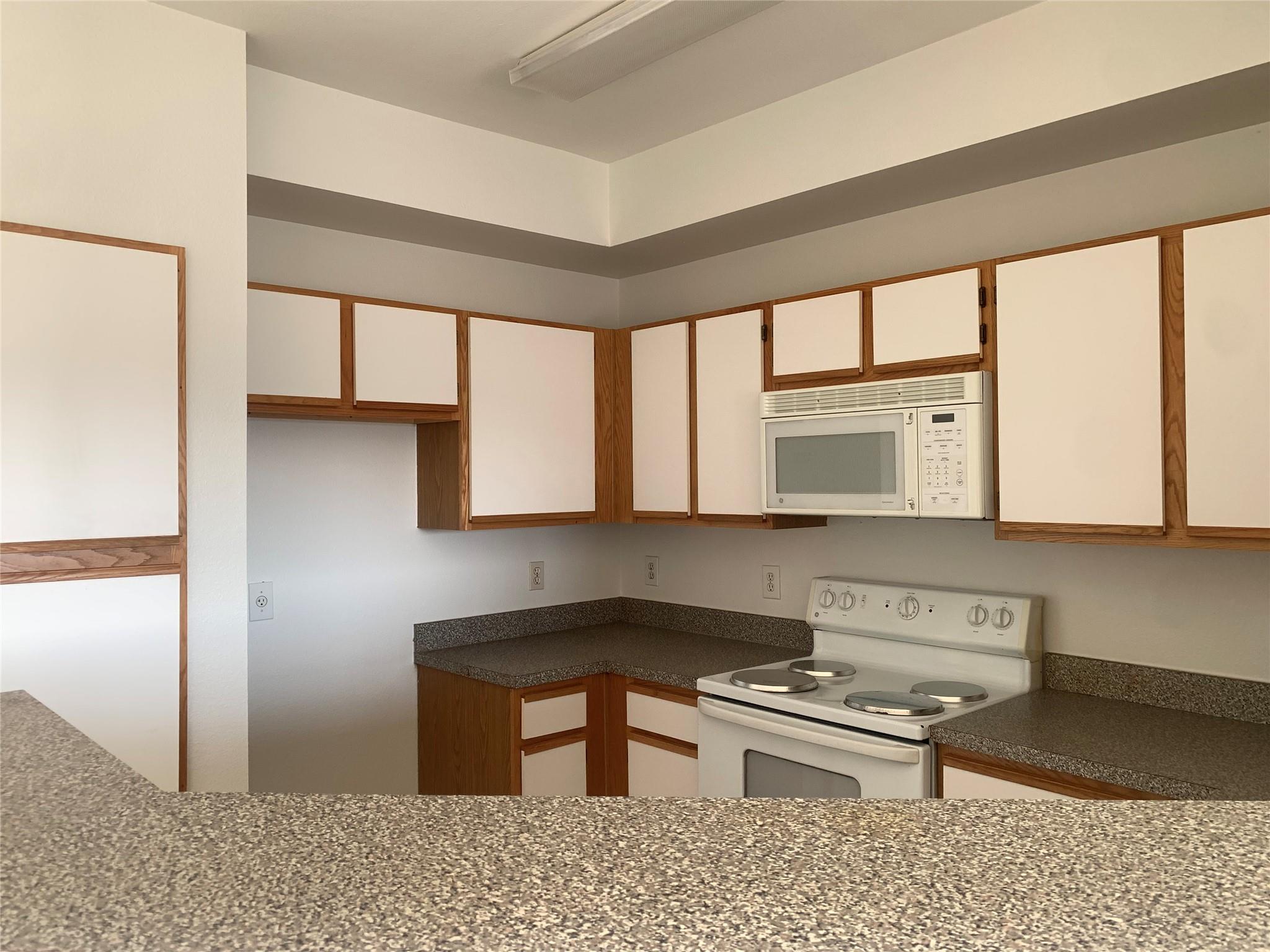 2320 GRACY FARMS Ln # 1134, Austin, TX 78758