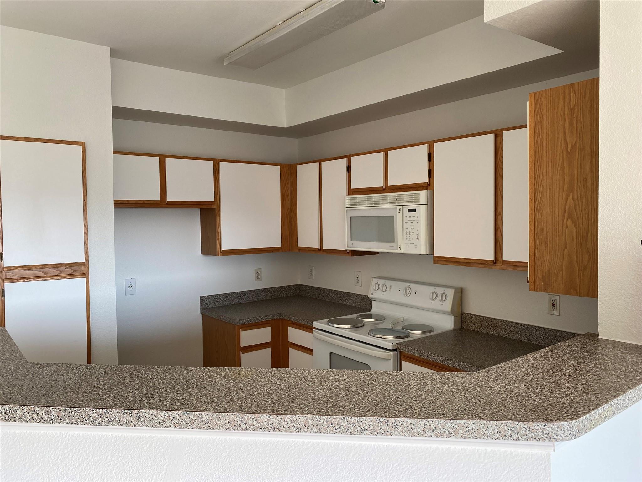 2320 GRACY FARMS Ln # 1134, Austin, TX 78758