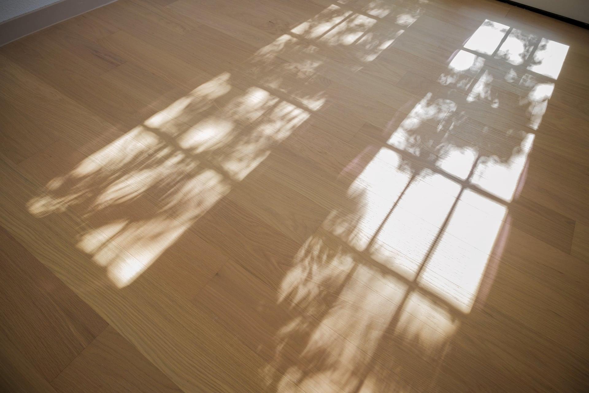 1905 E 21 St, Austin, TX 78722