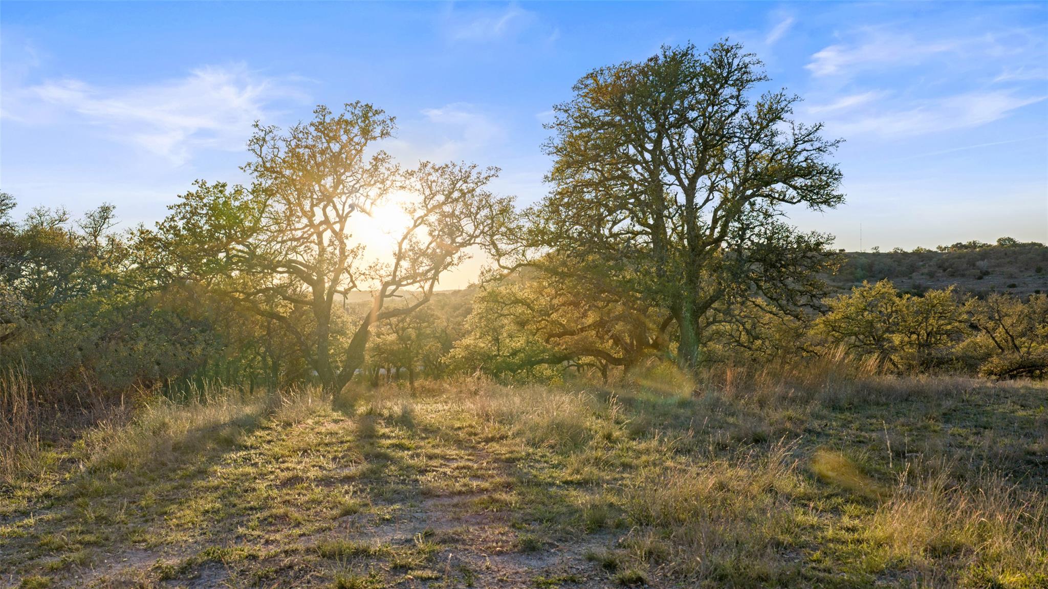 4827 Maenius Rd, Blanco, TX 78606