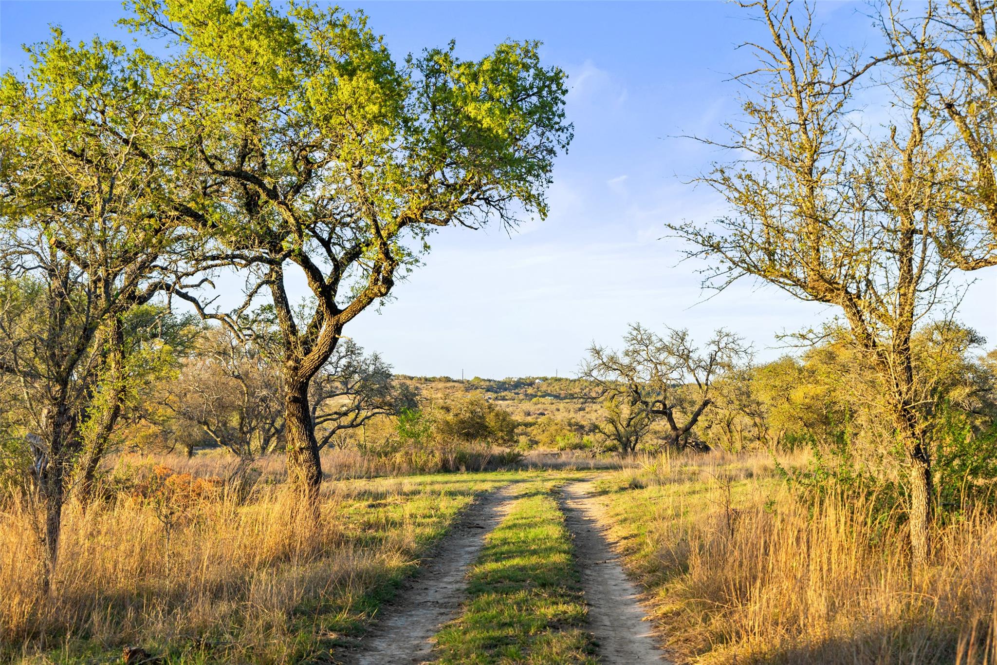 4827 Maenius Rd, Blanco, TX 78606