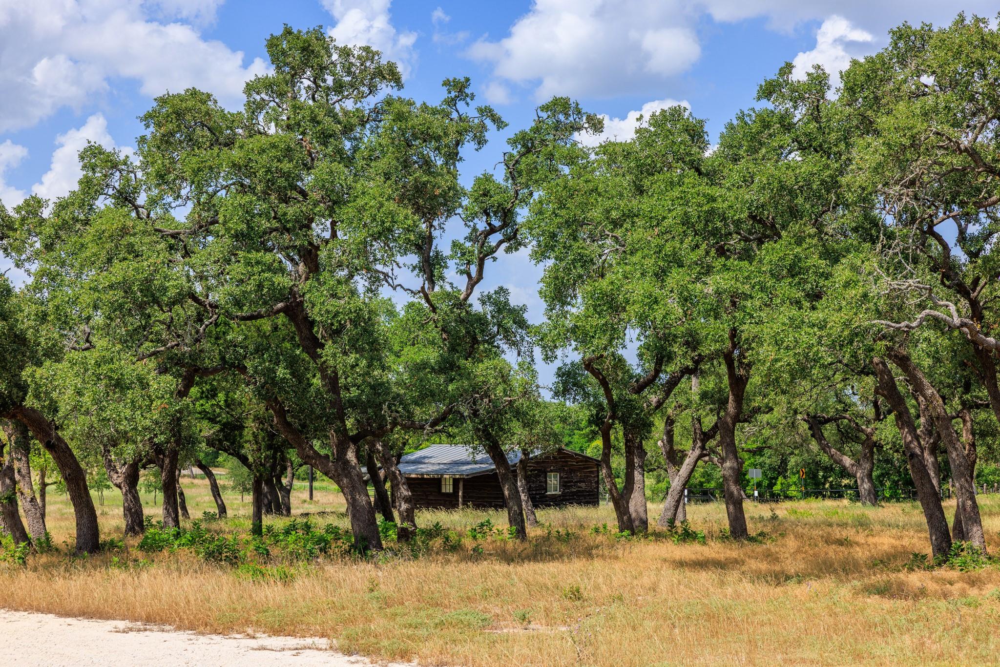 N/A Lone Man Mountain Rd, Wimberley, TX 78676