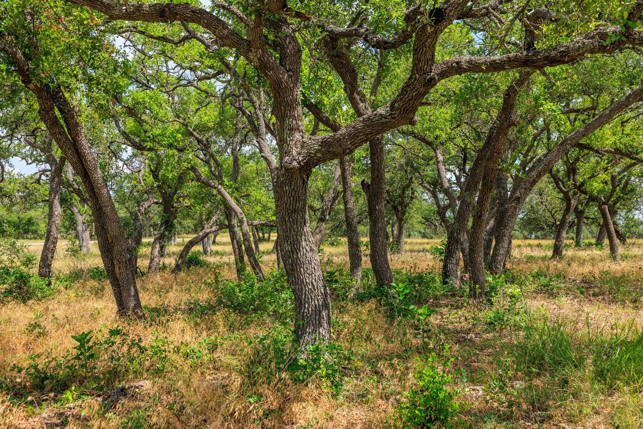 N/A Lone Man Mountain Rd, Wimberley, TX 78676
