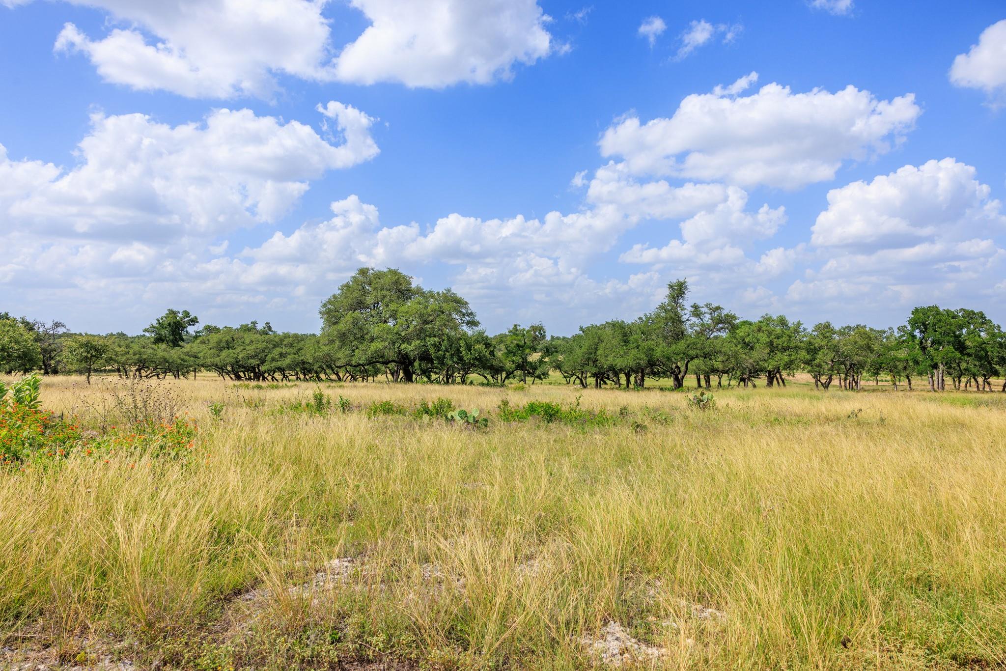 N/A Lone Man Mountain Rd, Wimberley, TX 78676