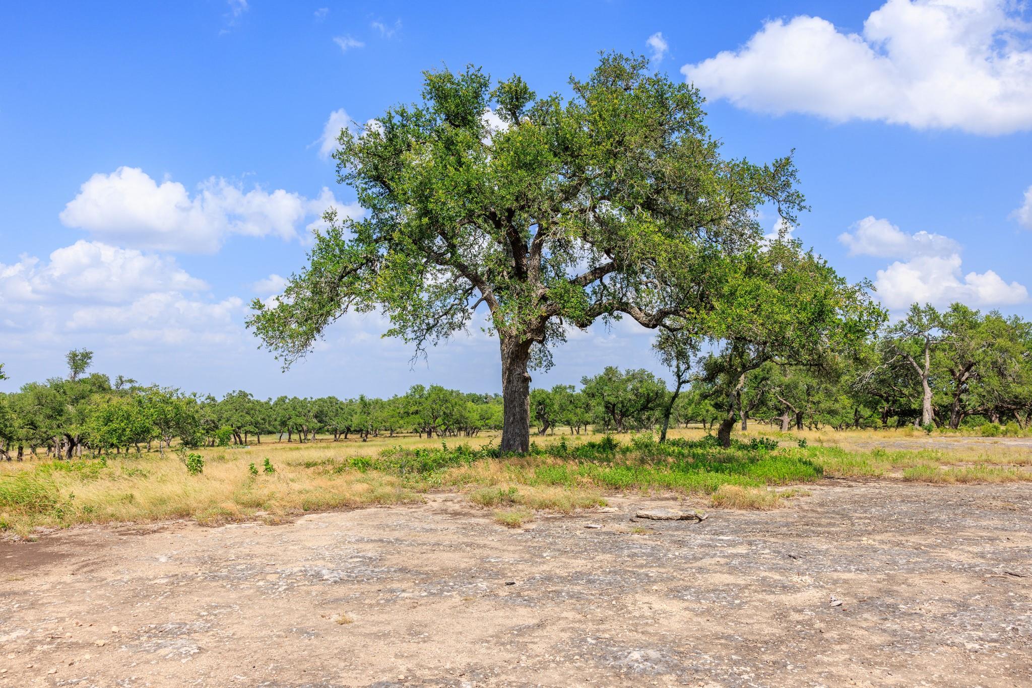 N/A Lone Man Mountain Rd, Wimberley, TX 78676