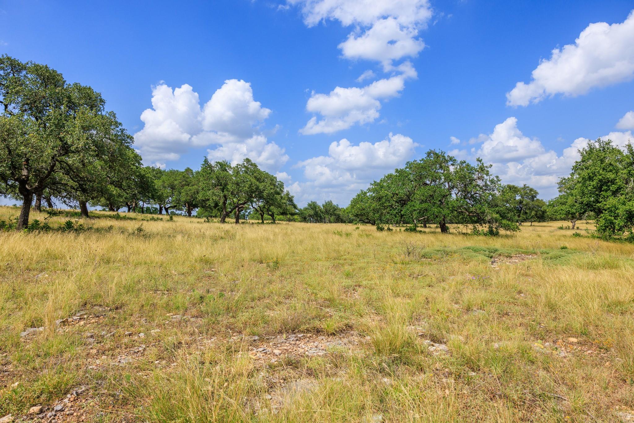 N/A Lone Man Mountain Rd, Wimberley, TX 78676