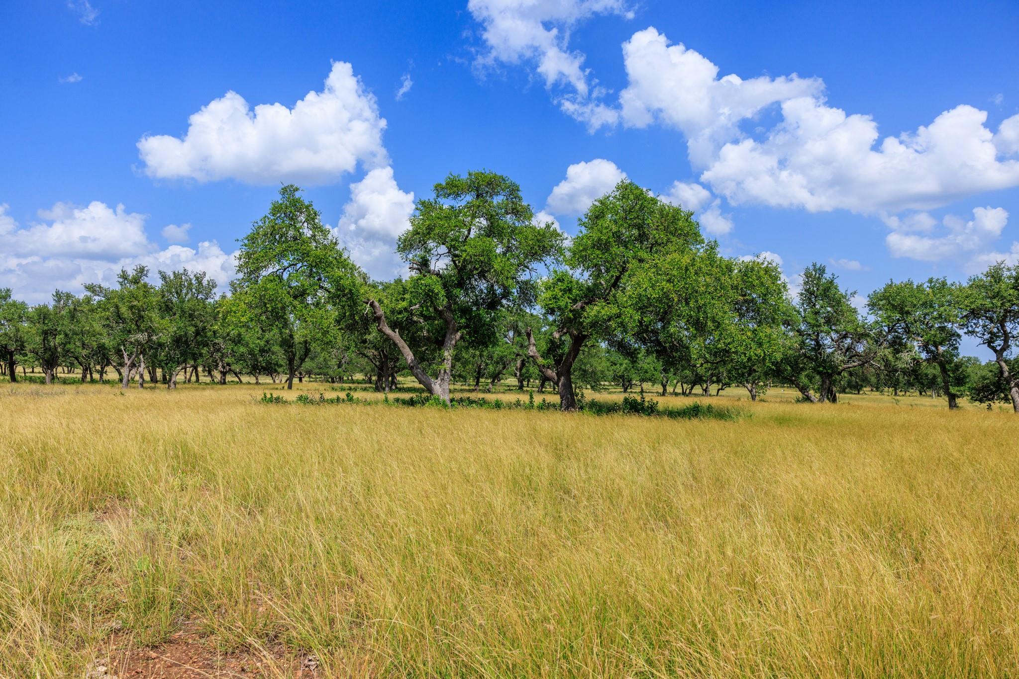 N/A Lone Man Mountain Rd, Wimberley, TX 78676