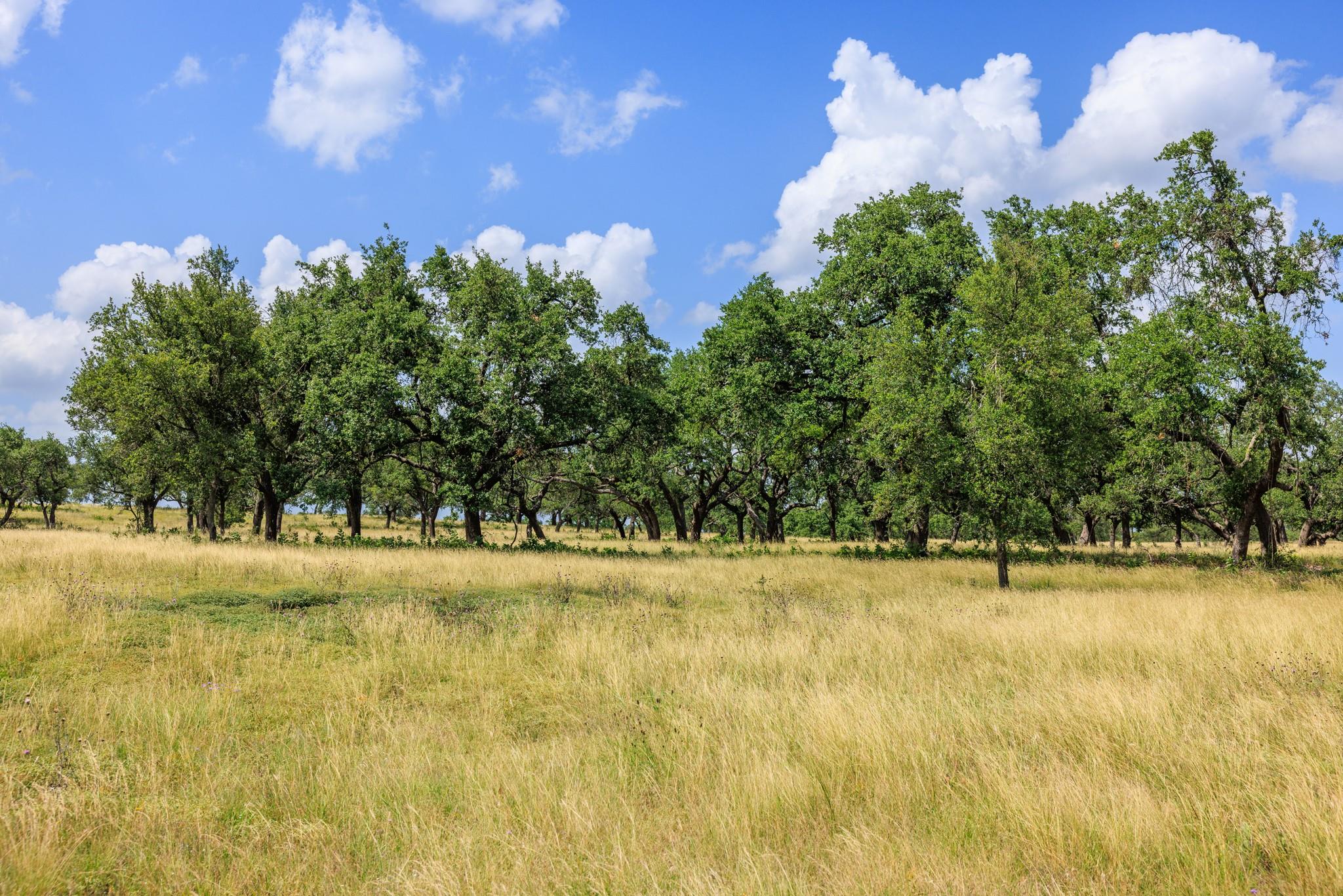 N/A Lone Man Mountain Rd, Wimberley, TX 78676