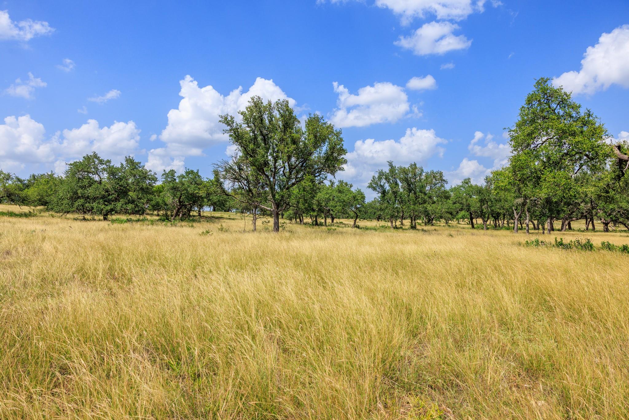 N/A Lone Man Mountain Rd, Wimberley, TX 78676
