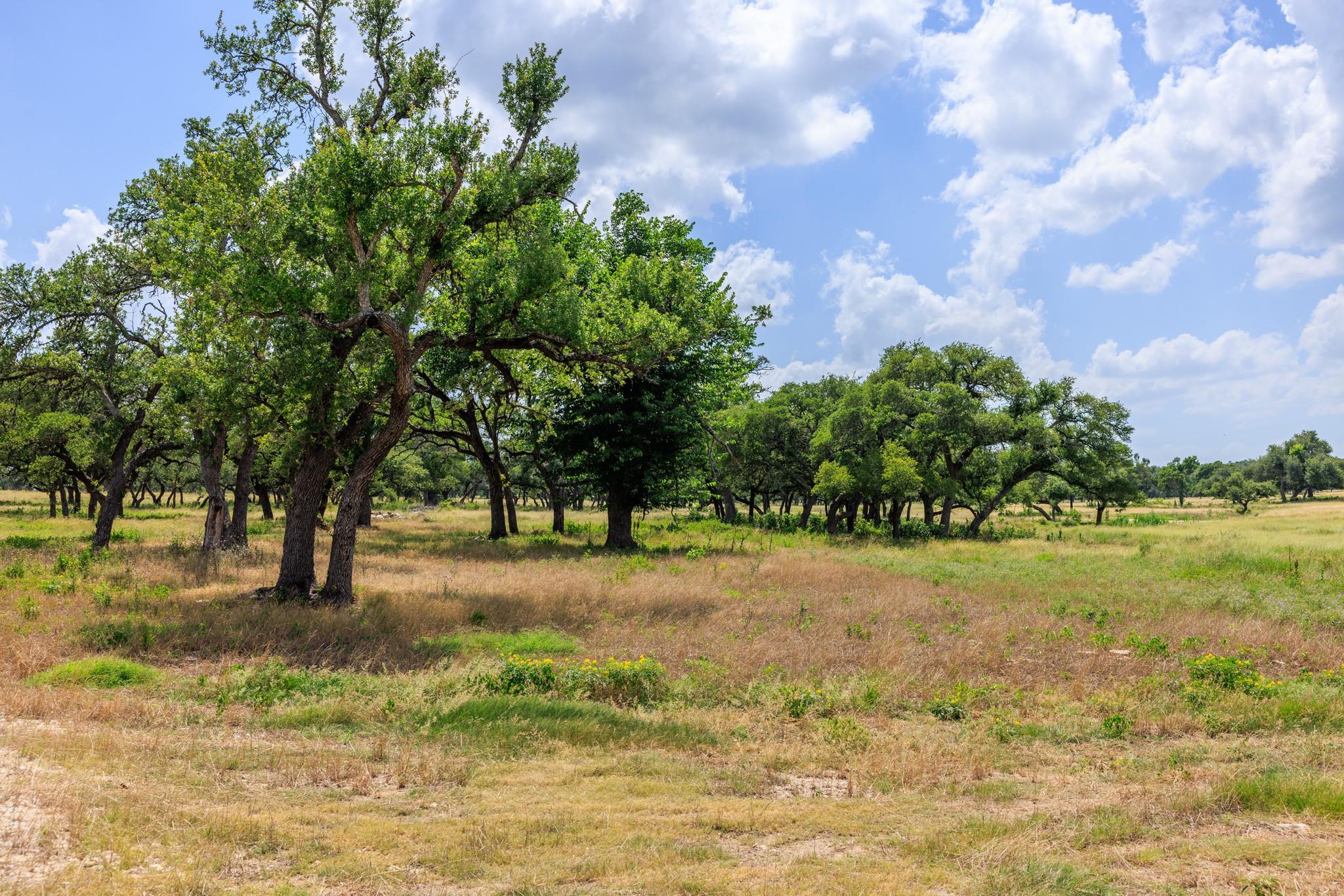 N/A Lone Man Mountain Rd, Wimberley, TX 78676