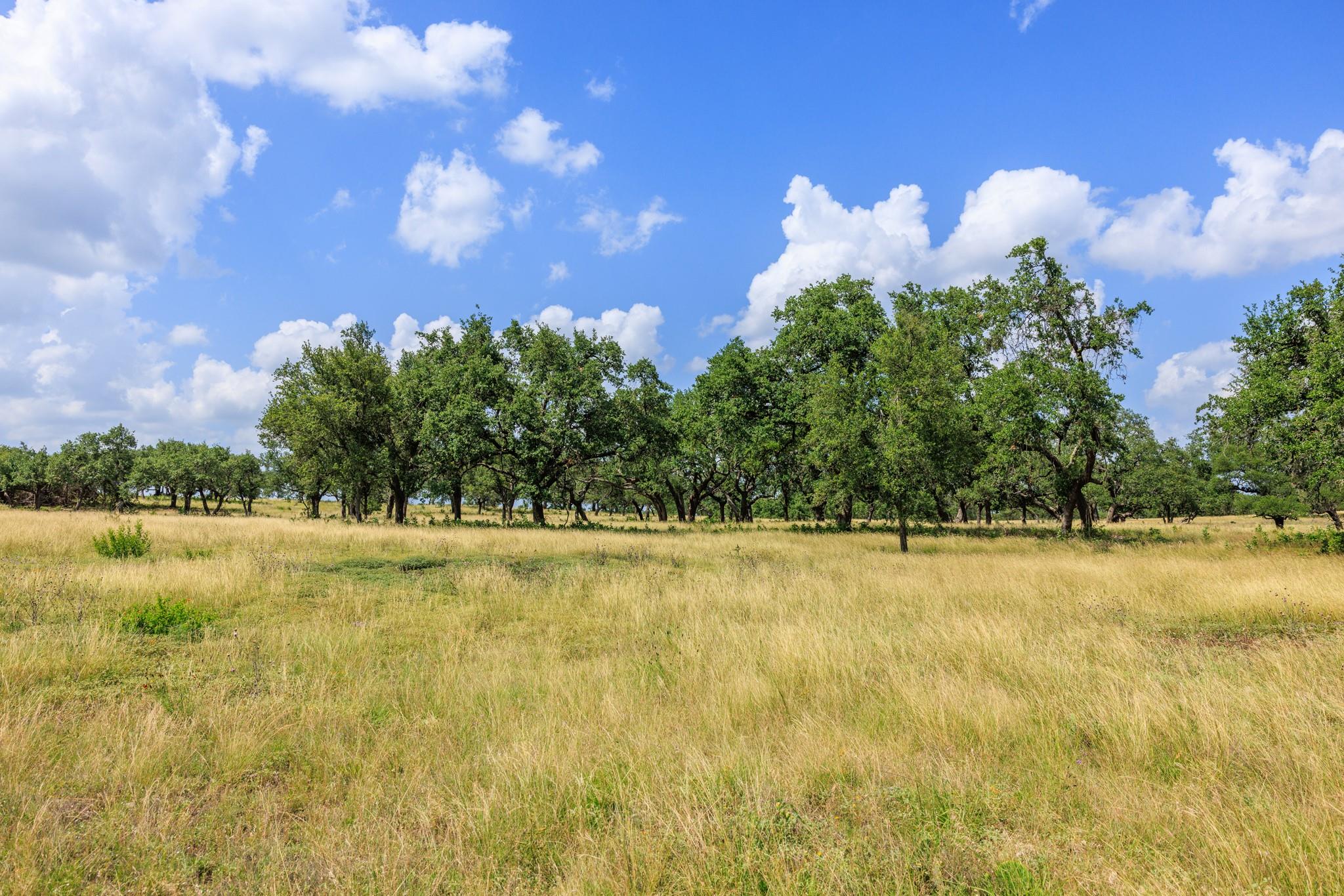 N/A Lone Man Mountain Rd, Wimberley, TX 78676