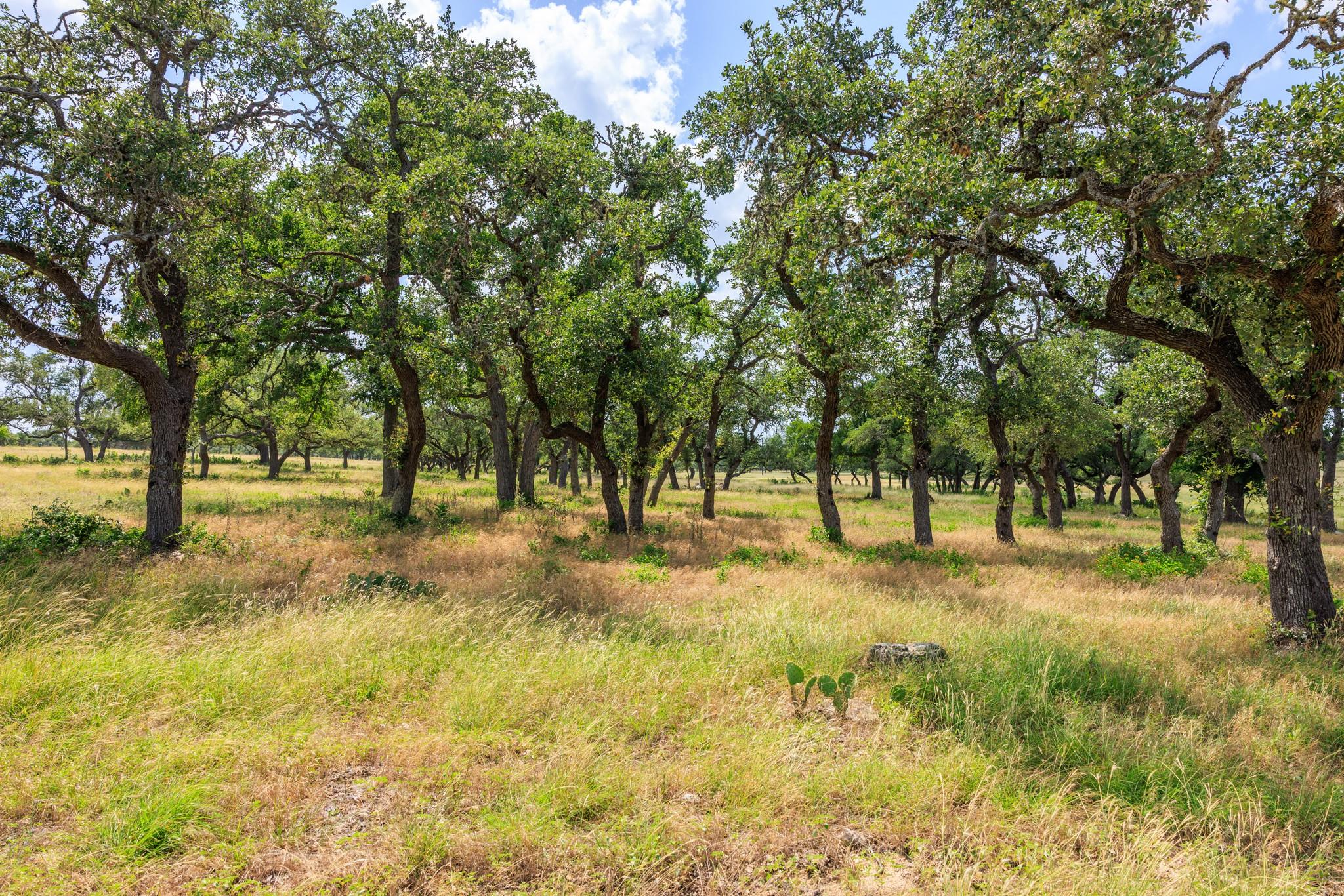 N/A Lone Man Mountain Rd, Wimberley, TX 78676