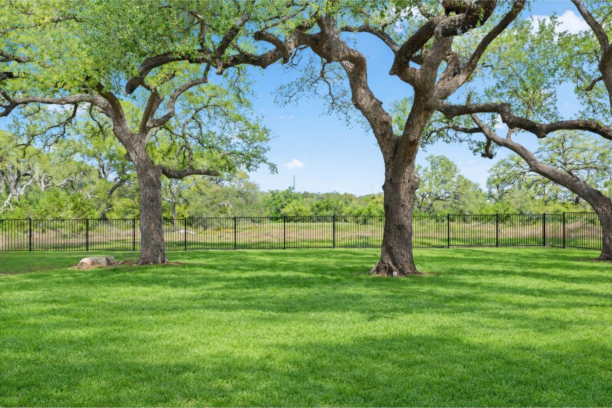 2009 NATURE VIEW LOOP, Driftwood, TX 78619