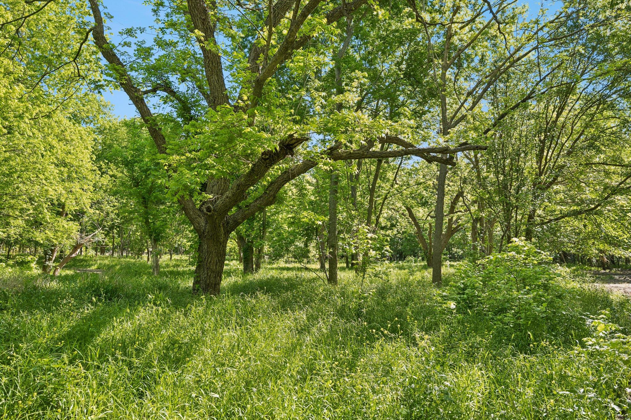 TBD E Highway 29 E, Granger, TX 76530