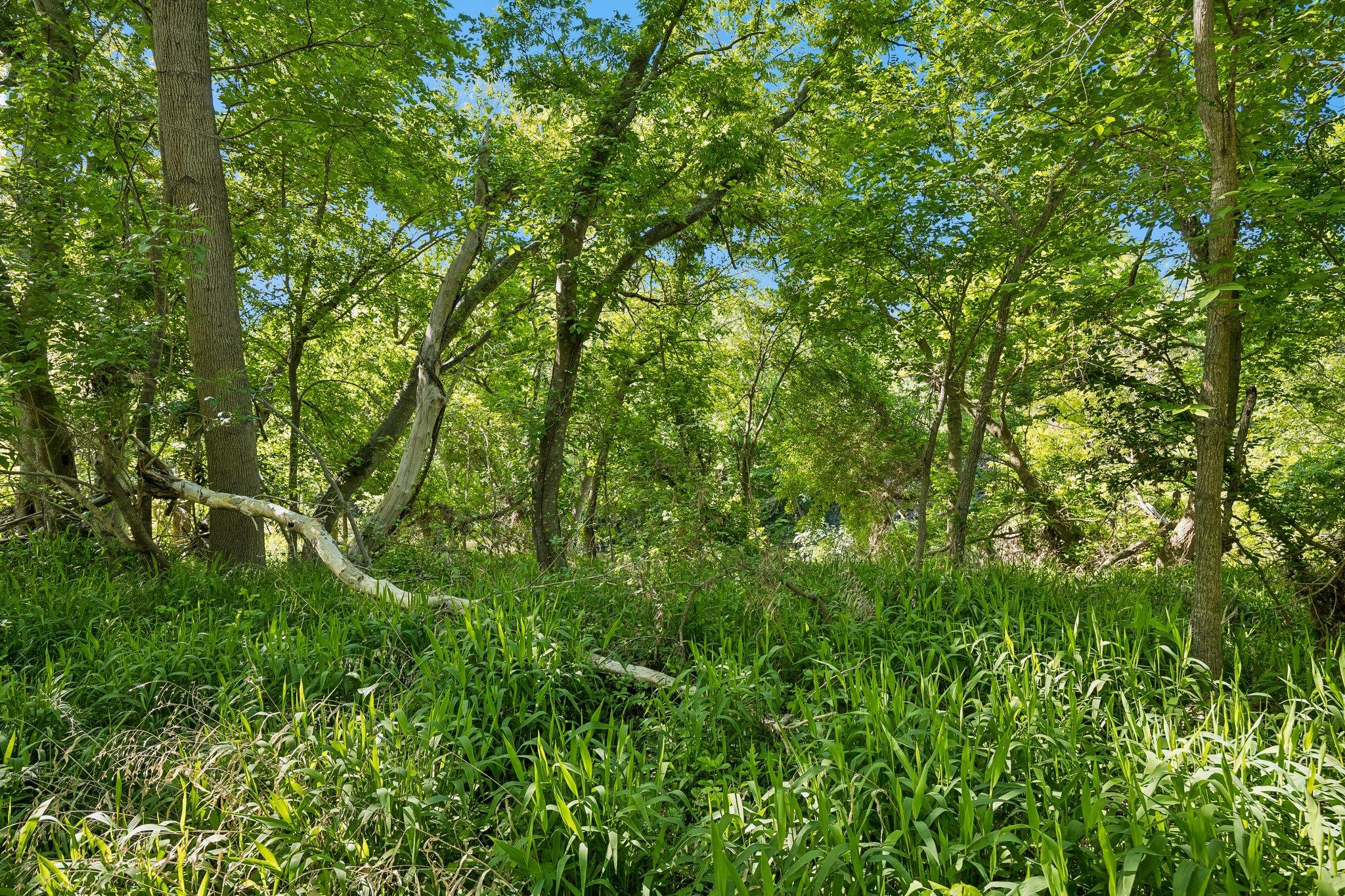 TBD E Highway 29 E, Granger, TX 76530