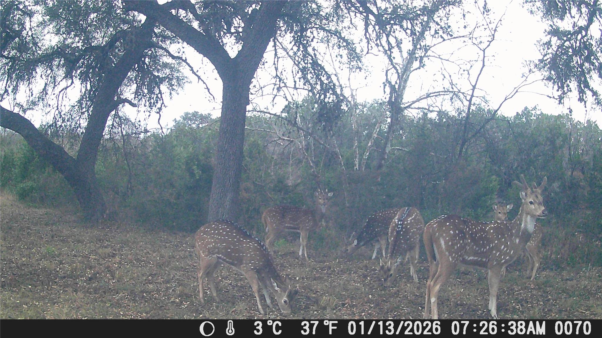 641 Patterson Creek Rd, Leakey, TX 78873