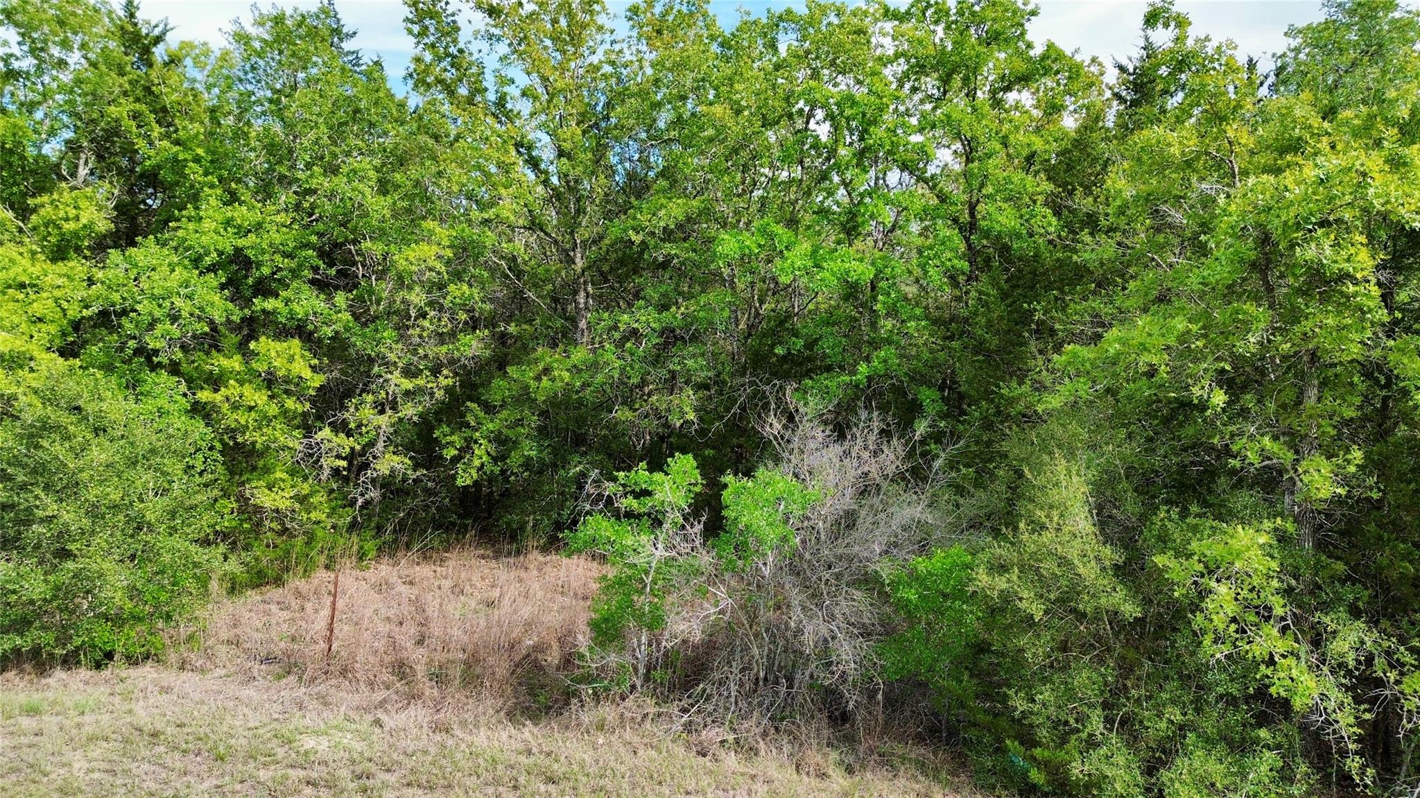 TBD TRACT 2 FM 180, Ledbetter, TX 78946