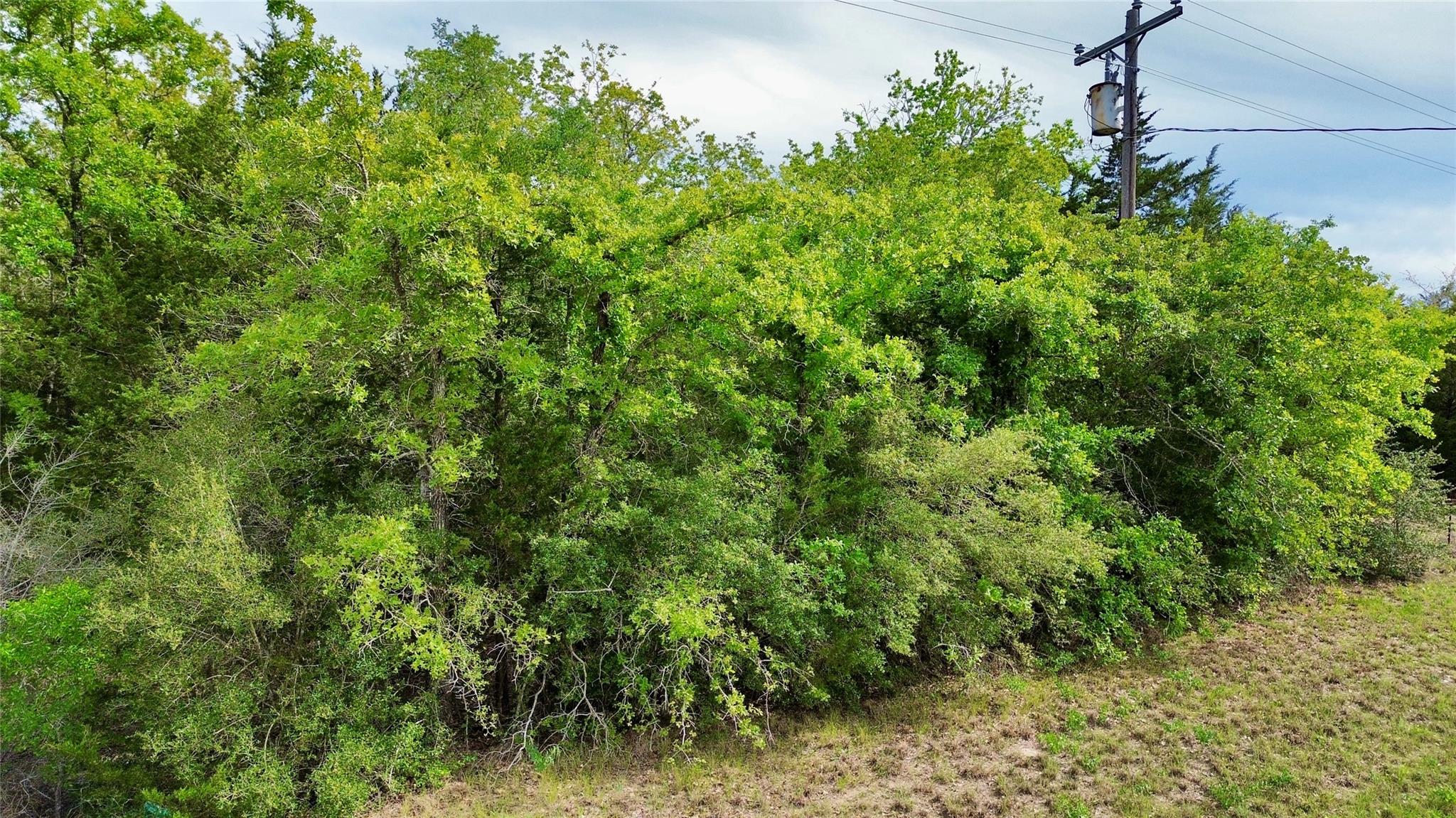 TBD TRACT 2 FM 180, Ledbetter, TX 78946