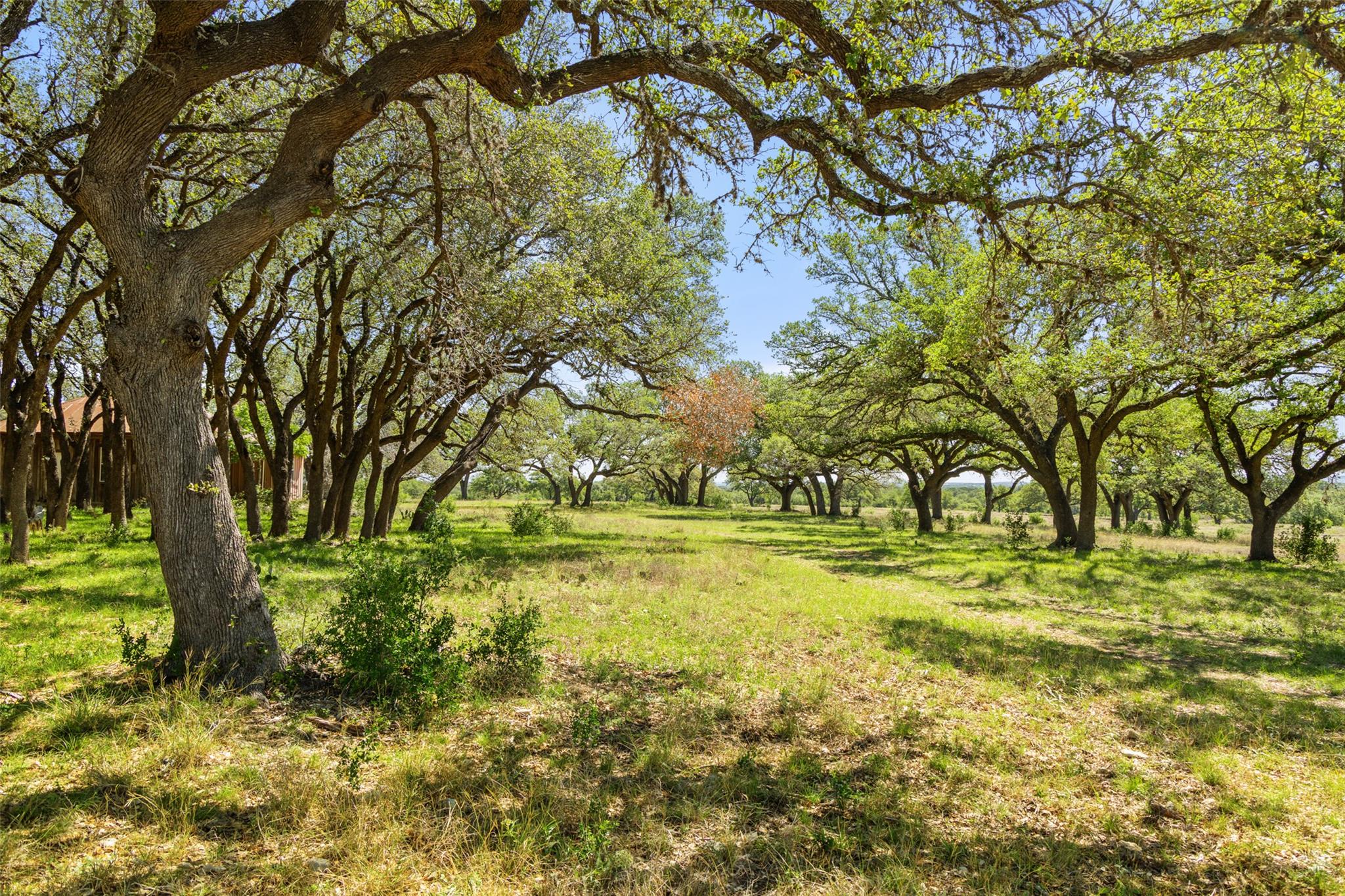 1318 Klett Ranch Rd, Johnson City, TX 78636