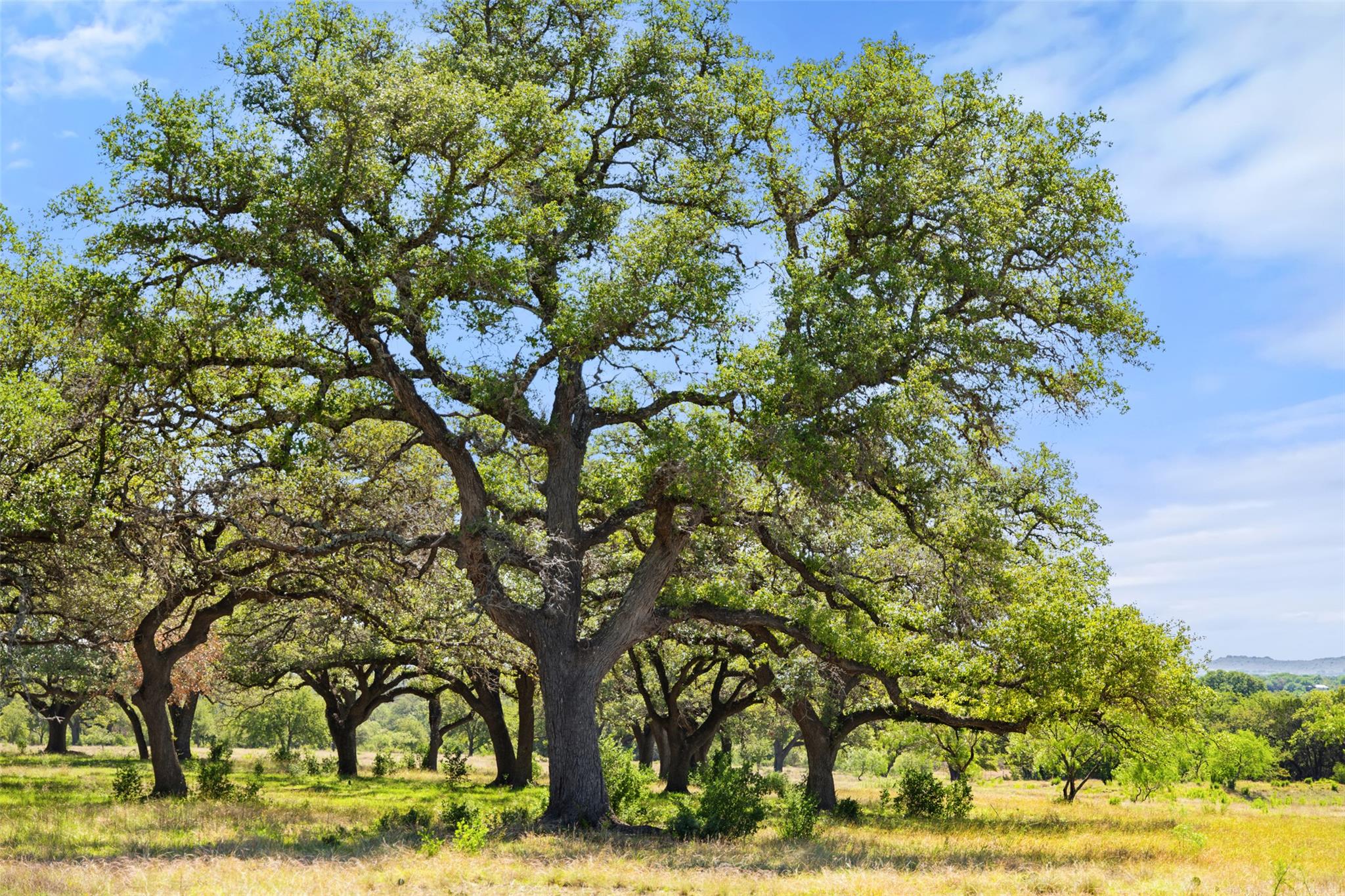 1318 Klett Ranch Rd, Johnson City, TX 78636