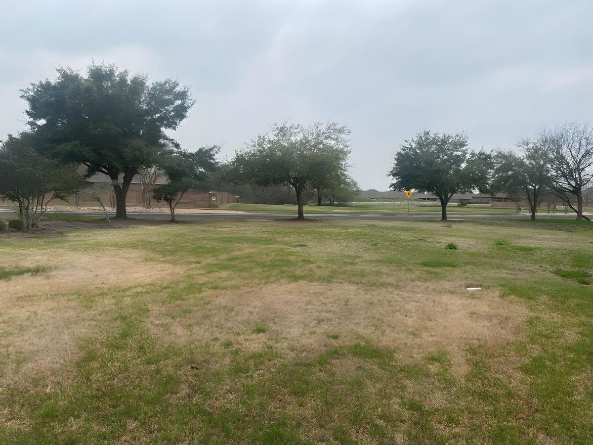 14408 Castleford Dr, Manor, TX 78653