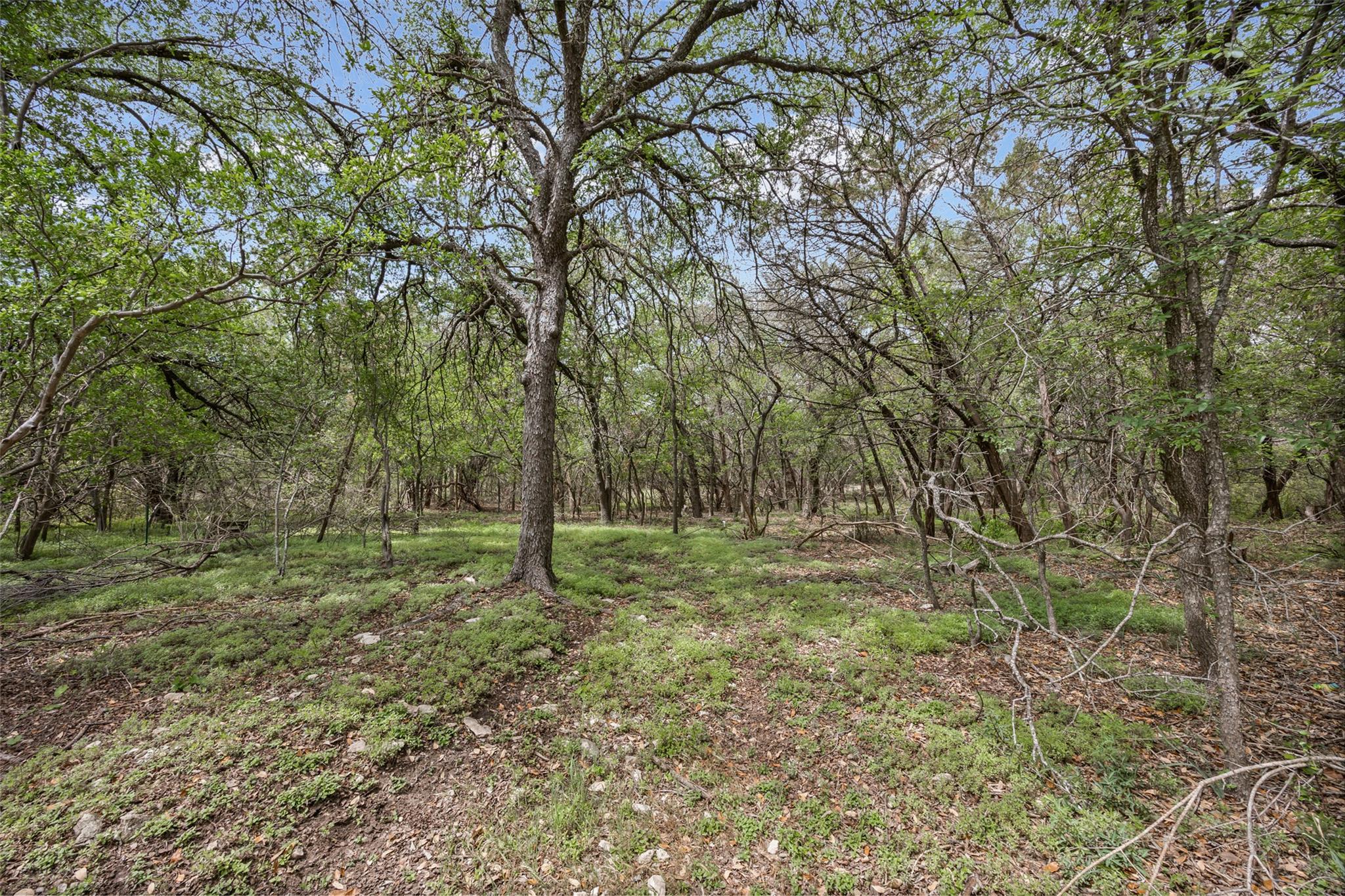 10706 Creek View Dr, Austin, TX 78748