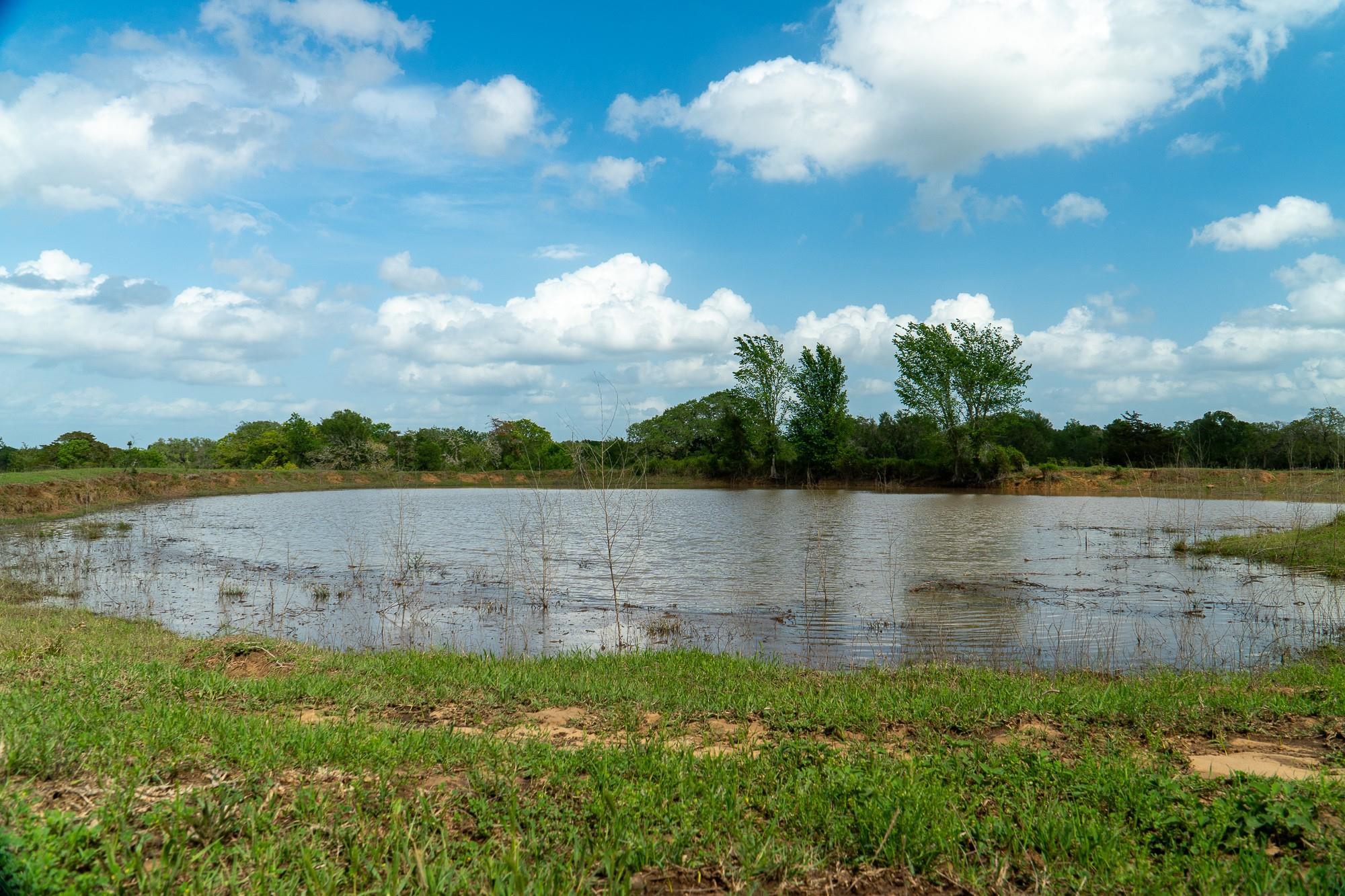 2745 Holub Rd, Schulenburg, TX 78956