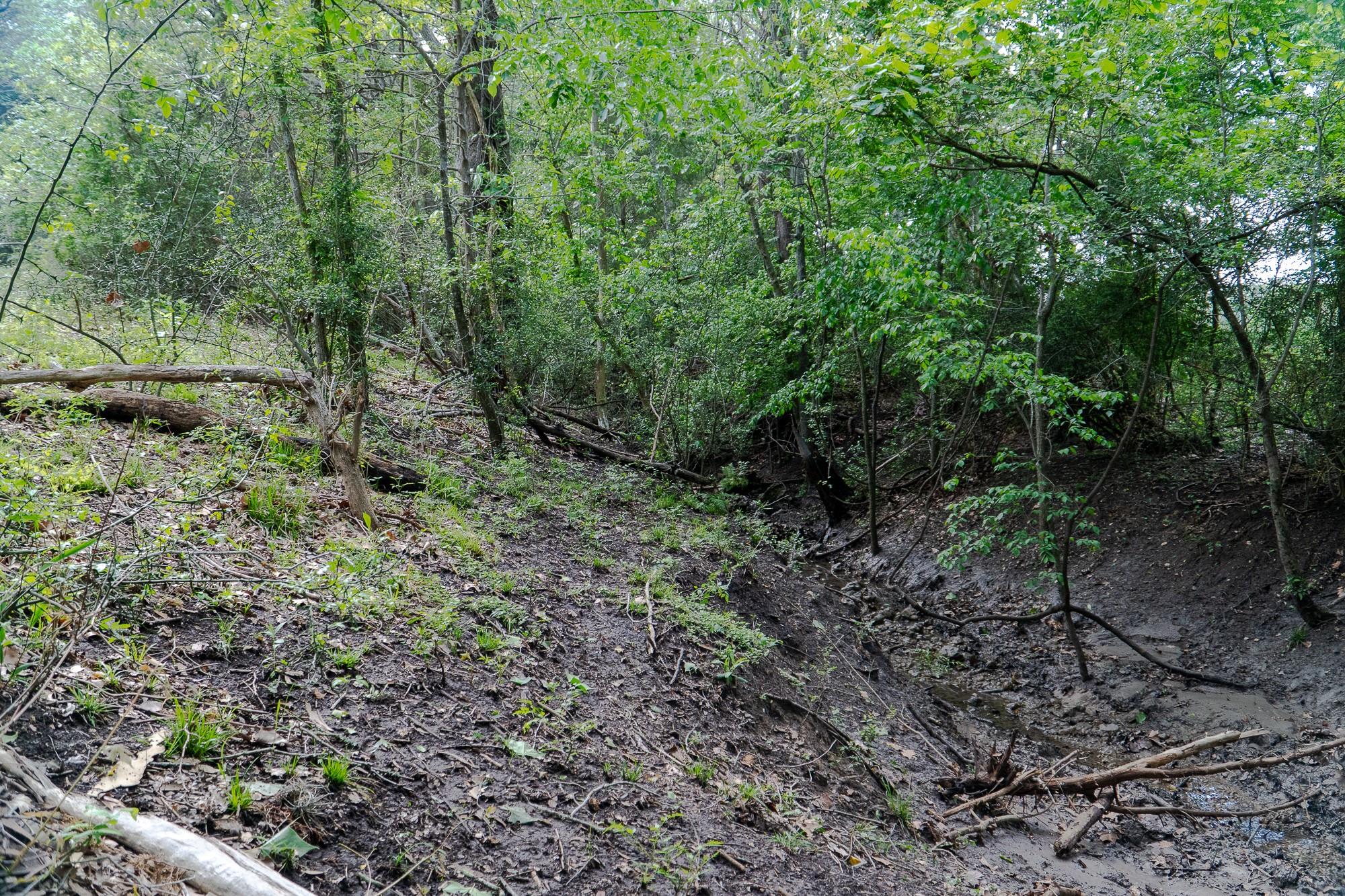 2745 Holub Rd, Schulenburg, TX 78956