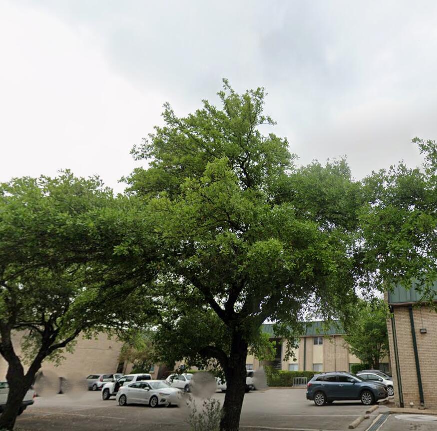 2600 Penny Ln # 207, Austin, TX 78757