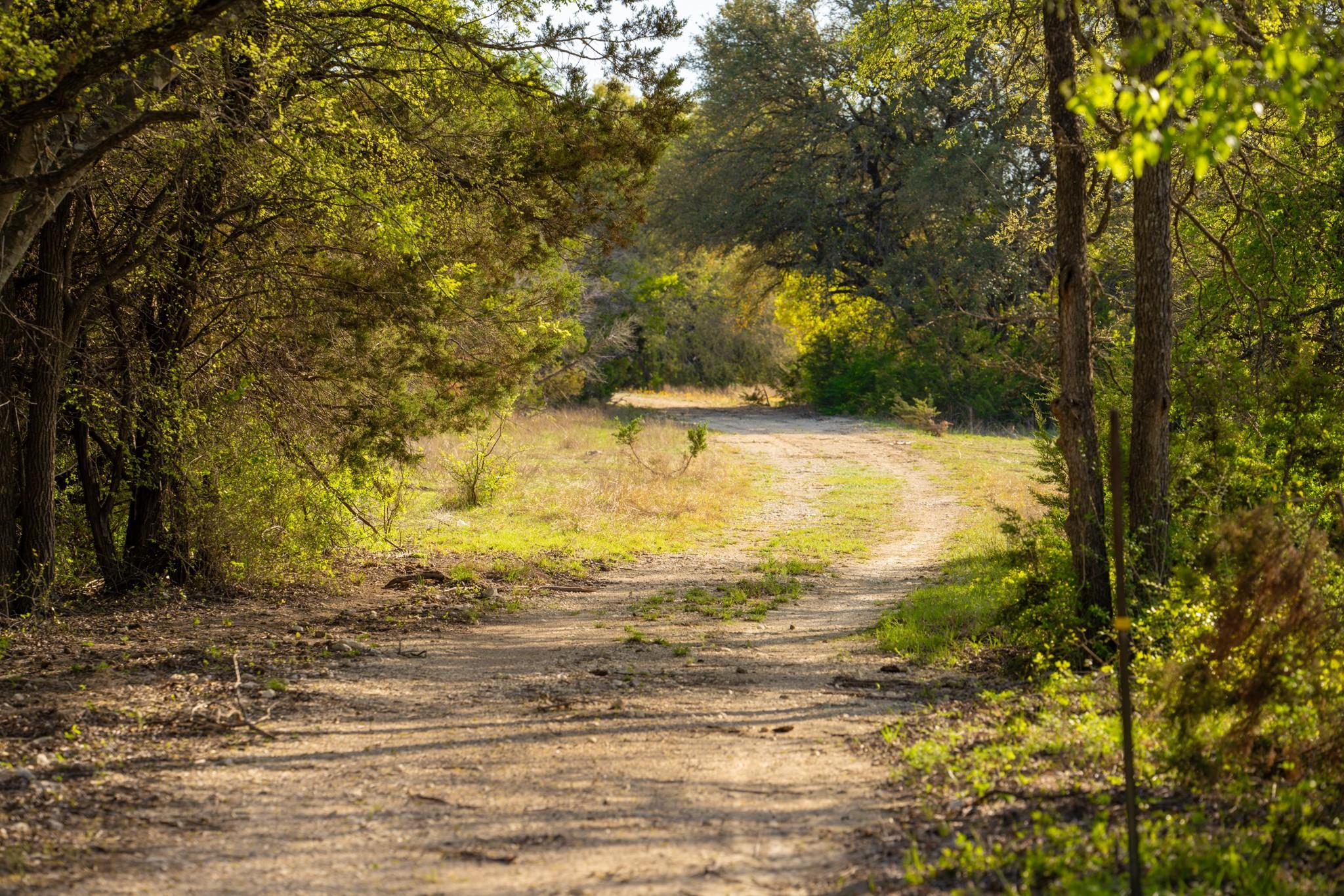 6234 S Fm 1174, Bertram, TX 78605