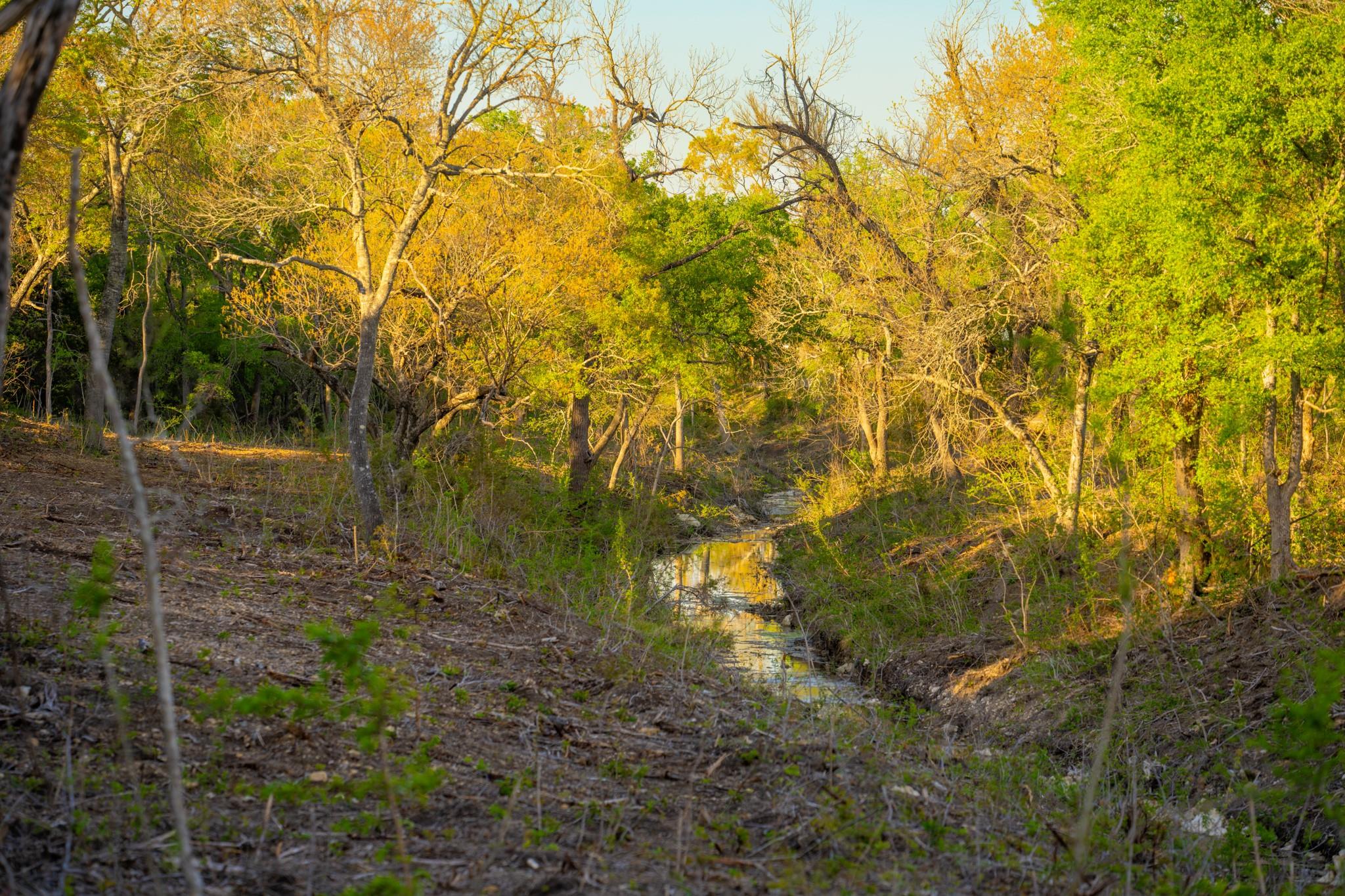 6234 S Fm 1174, Bertram, TX 78605