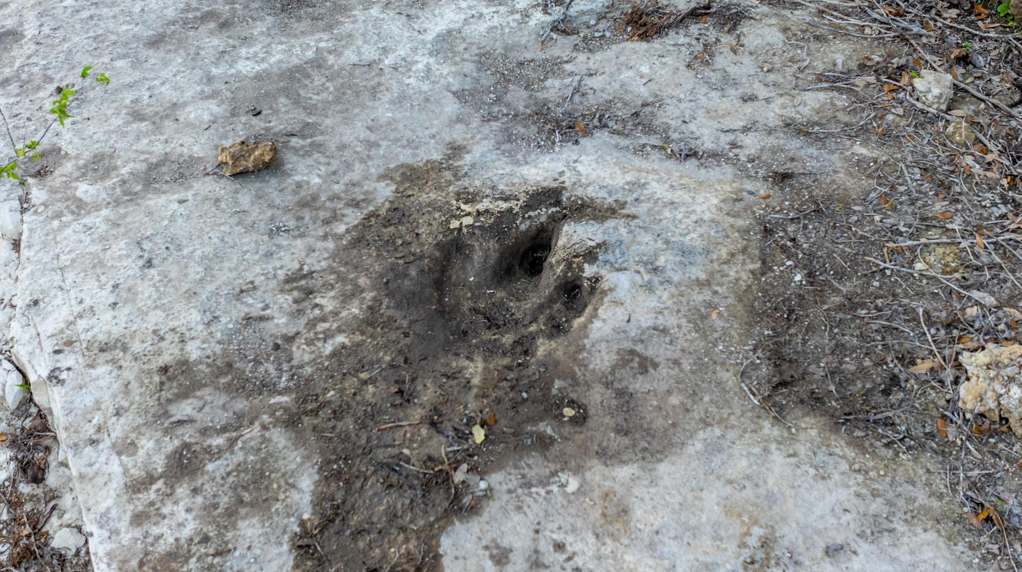 6234 S Fm 1174, Bertram, TX 78605