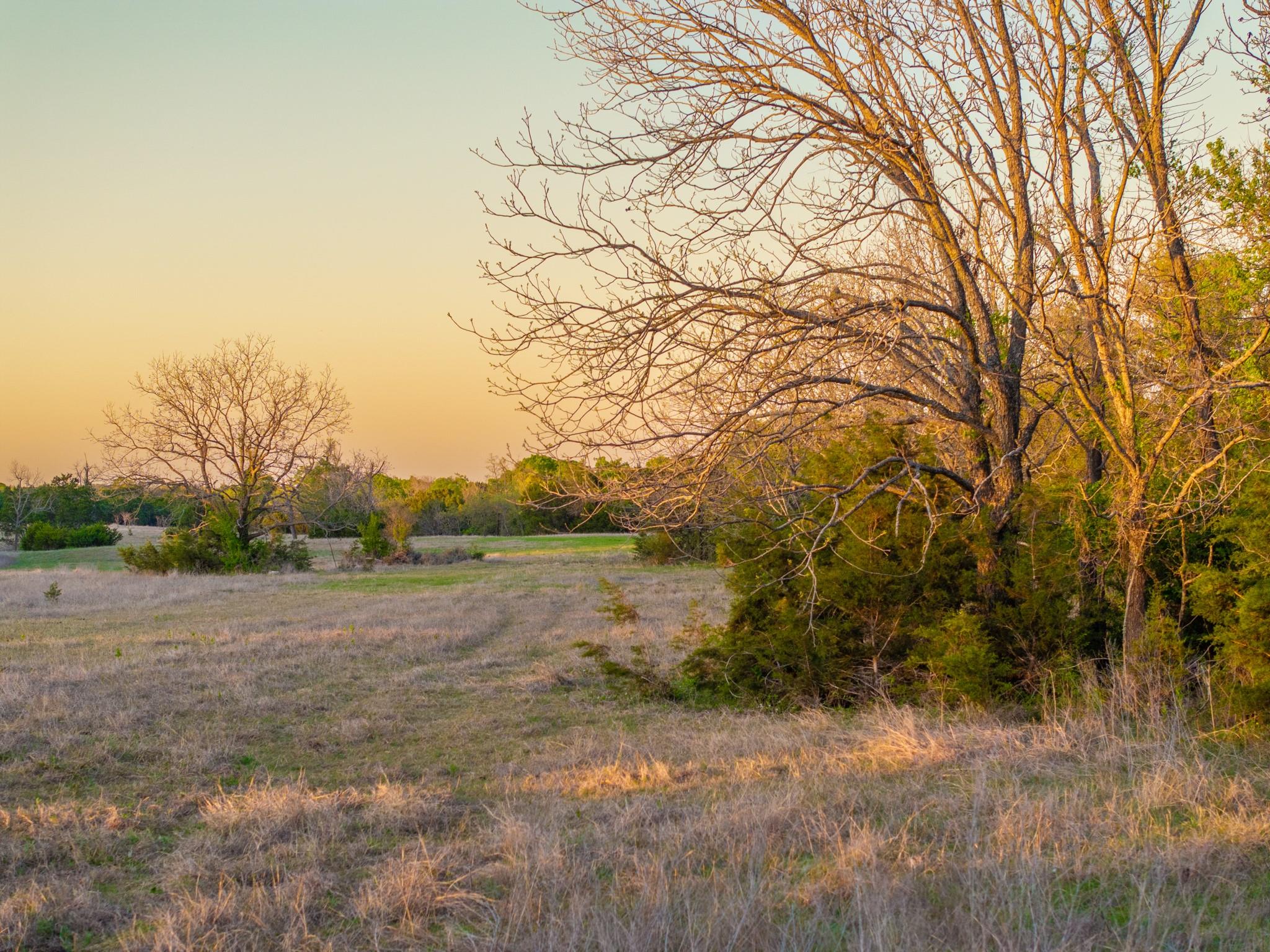 6234 S Fm 1174, Bertram, TX 78605