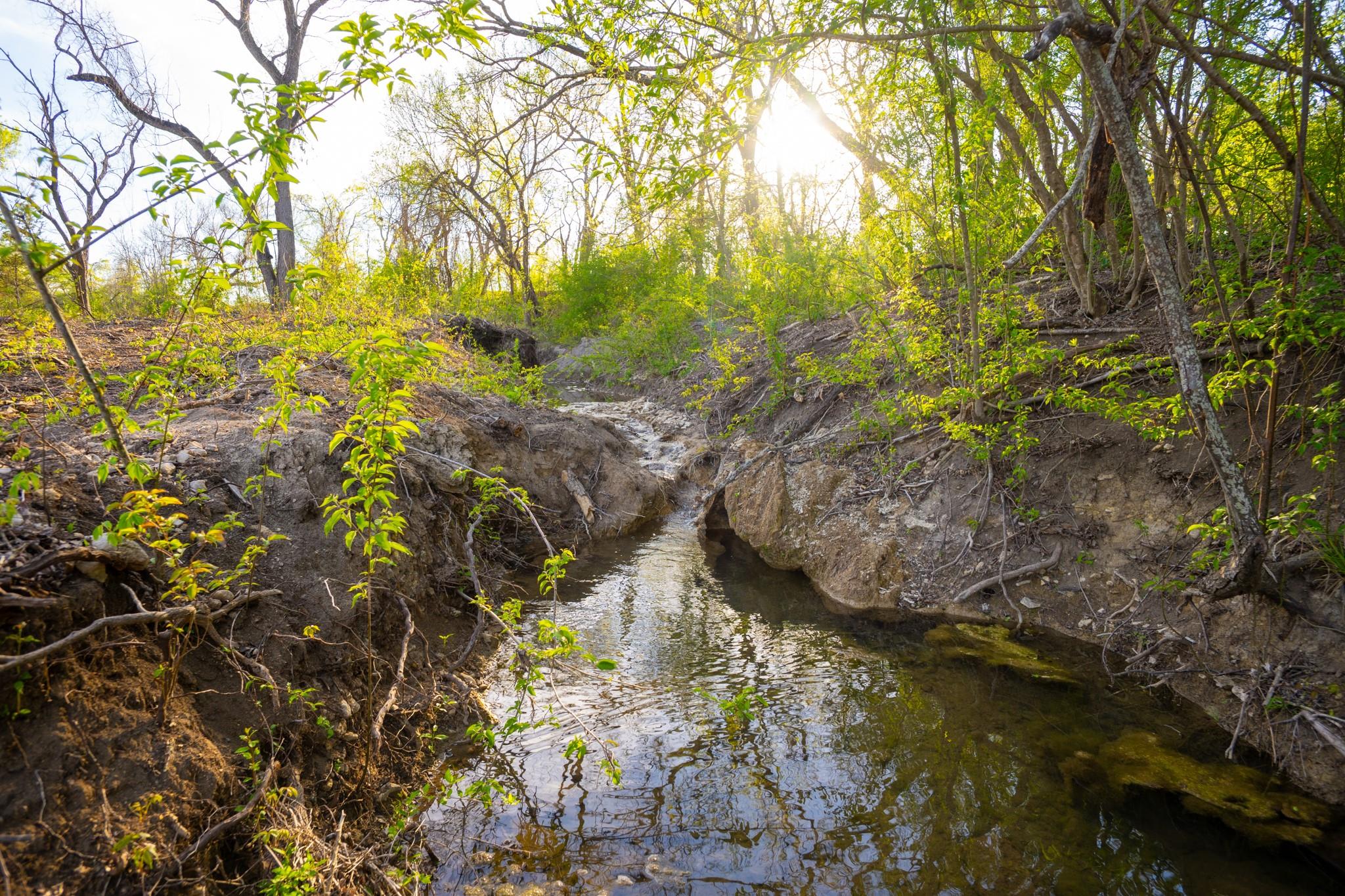 6234 S Fm 1174, Bertram, TX 78605