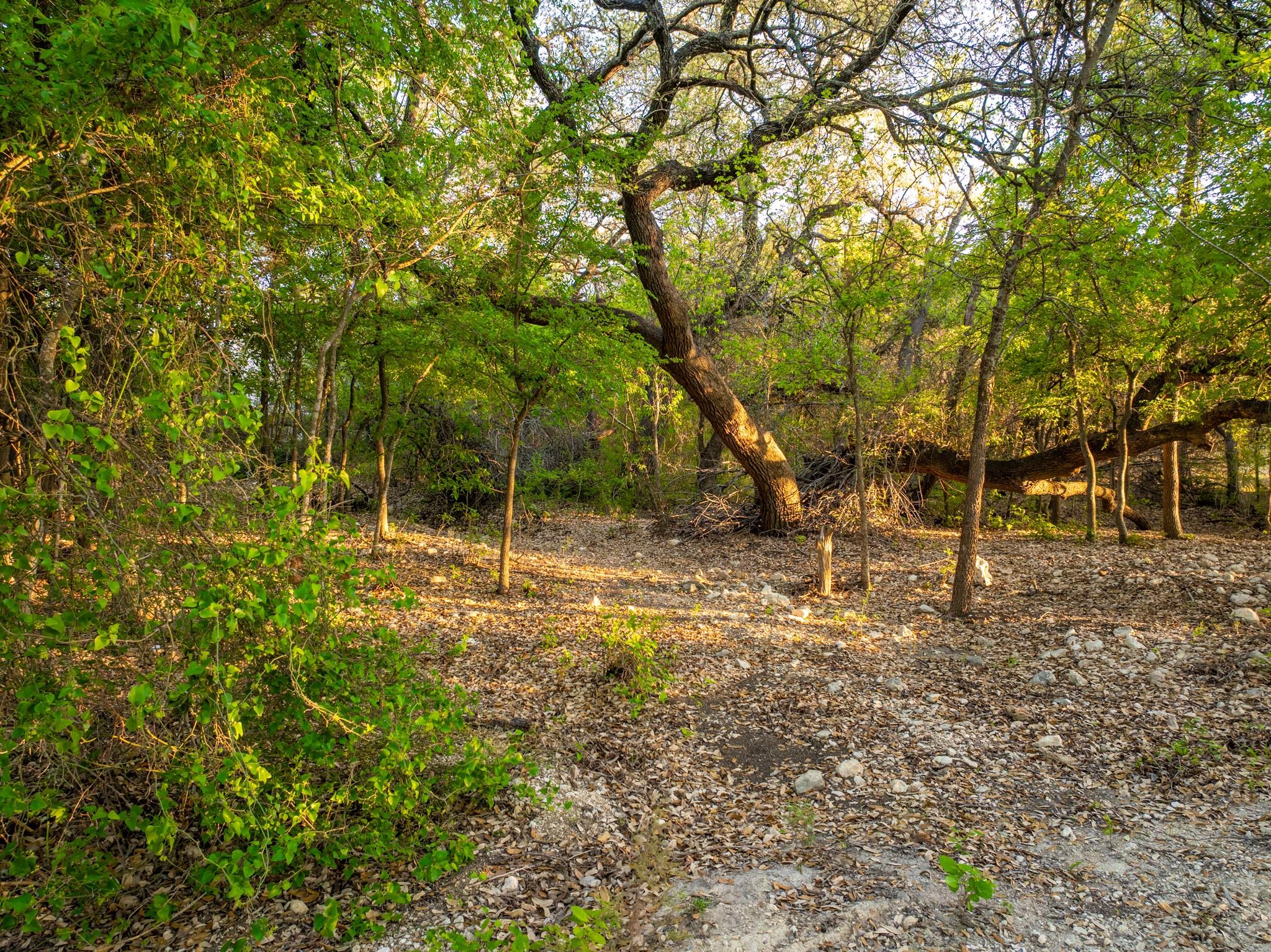 6234 S Fm 1174, Bertram, TX 78605