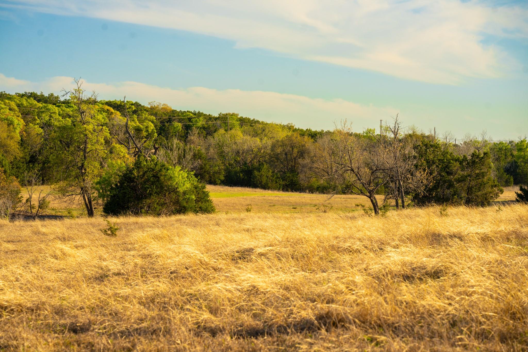 6234 S Fm 1174, Bertram, TX 78605