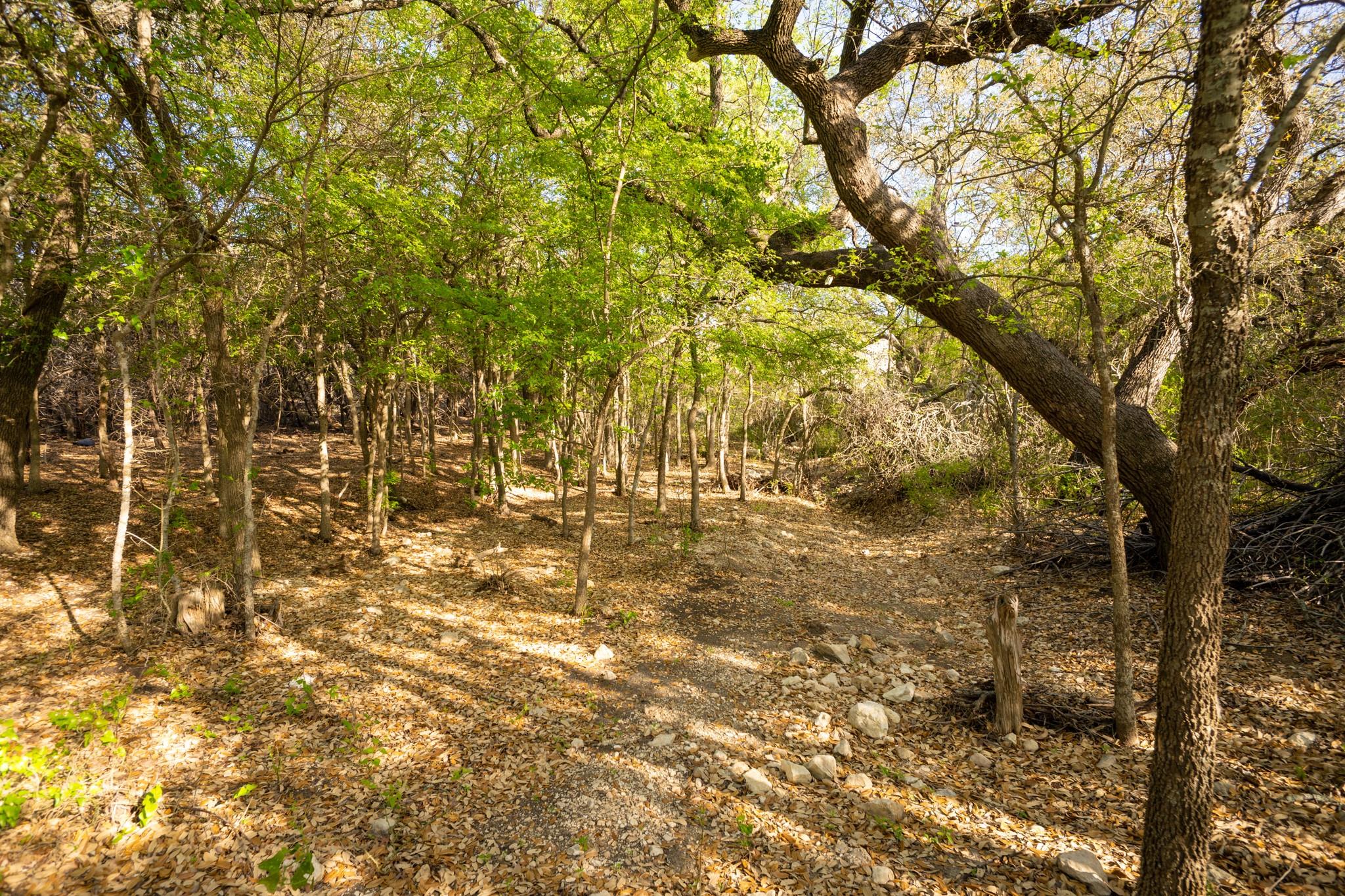 6234 S Fm 1174, Bertram, TX 78605