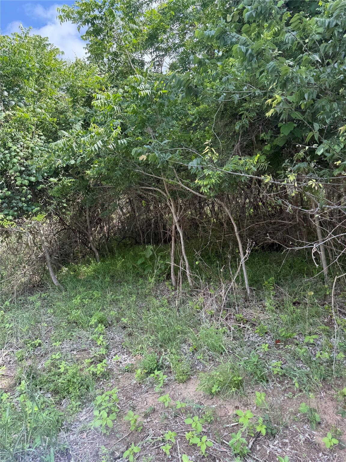 Lot 959 Riverside Dr, Bastrop, TX 78602