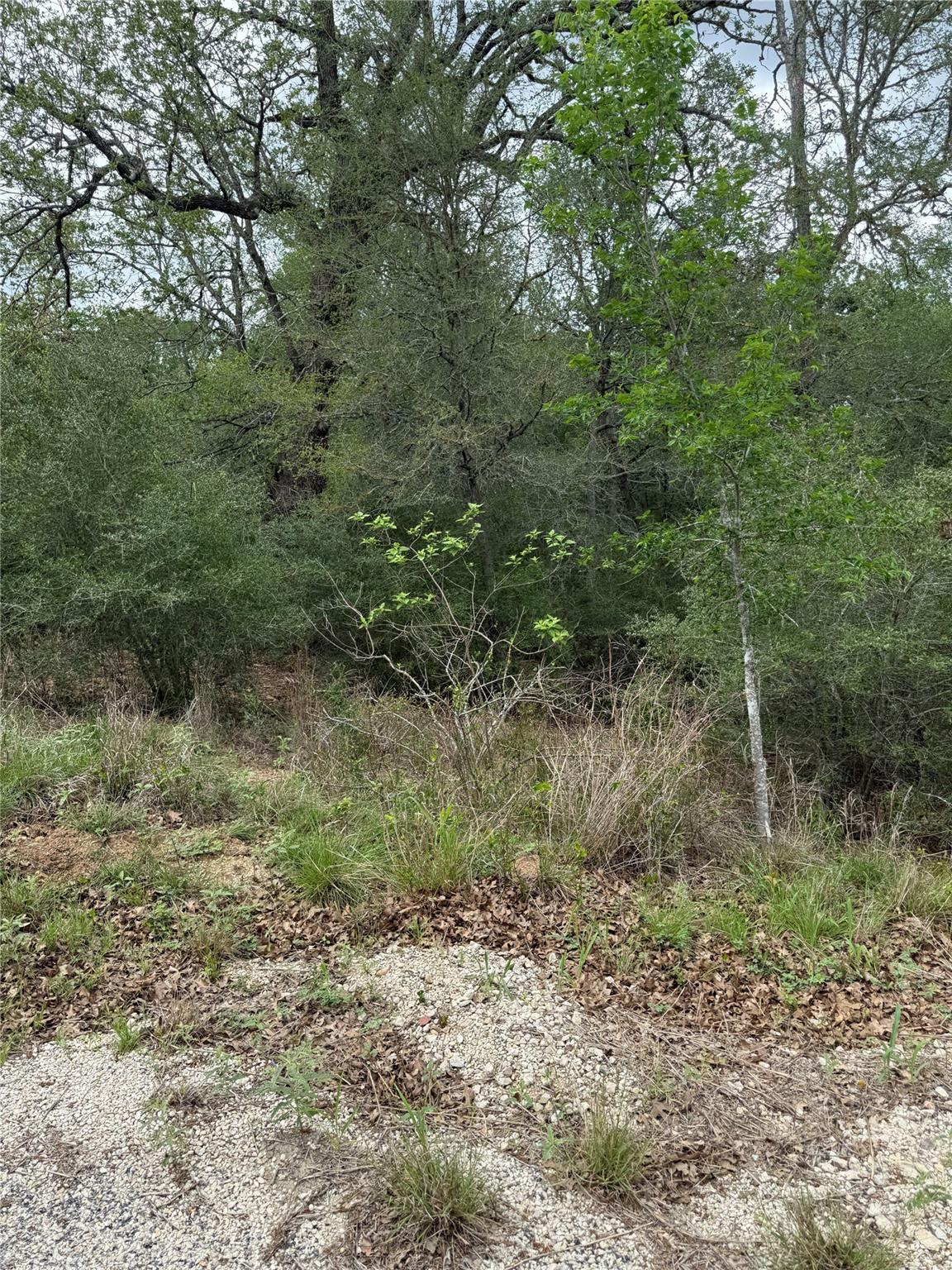 lot 69 Kaelepulu Dr, Bastrop, TX 78602
