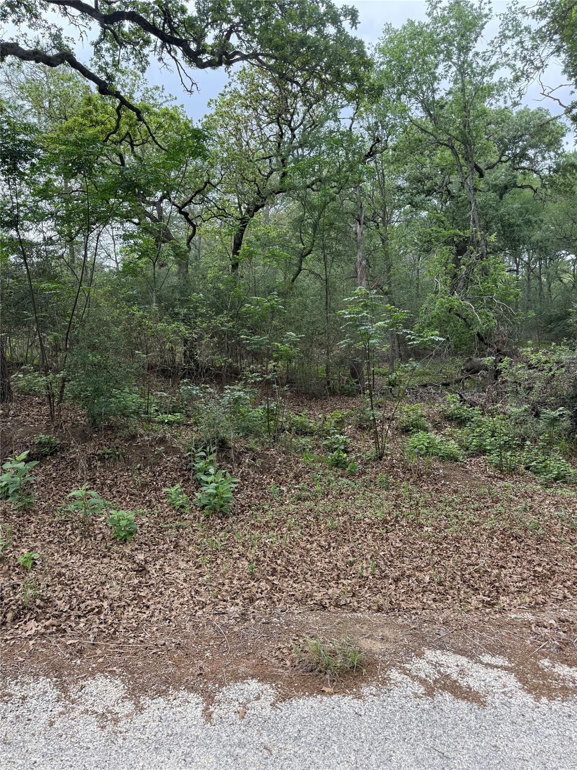 lot 70 Kaelepulu Dr, Bastrop, TX 78602