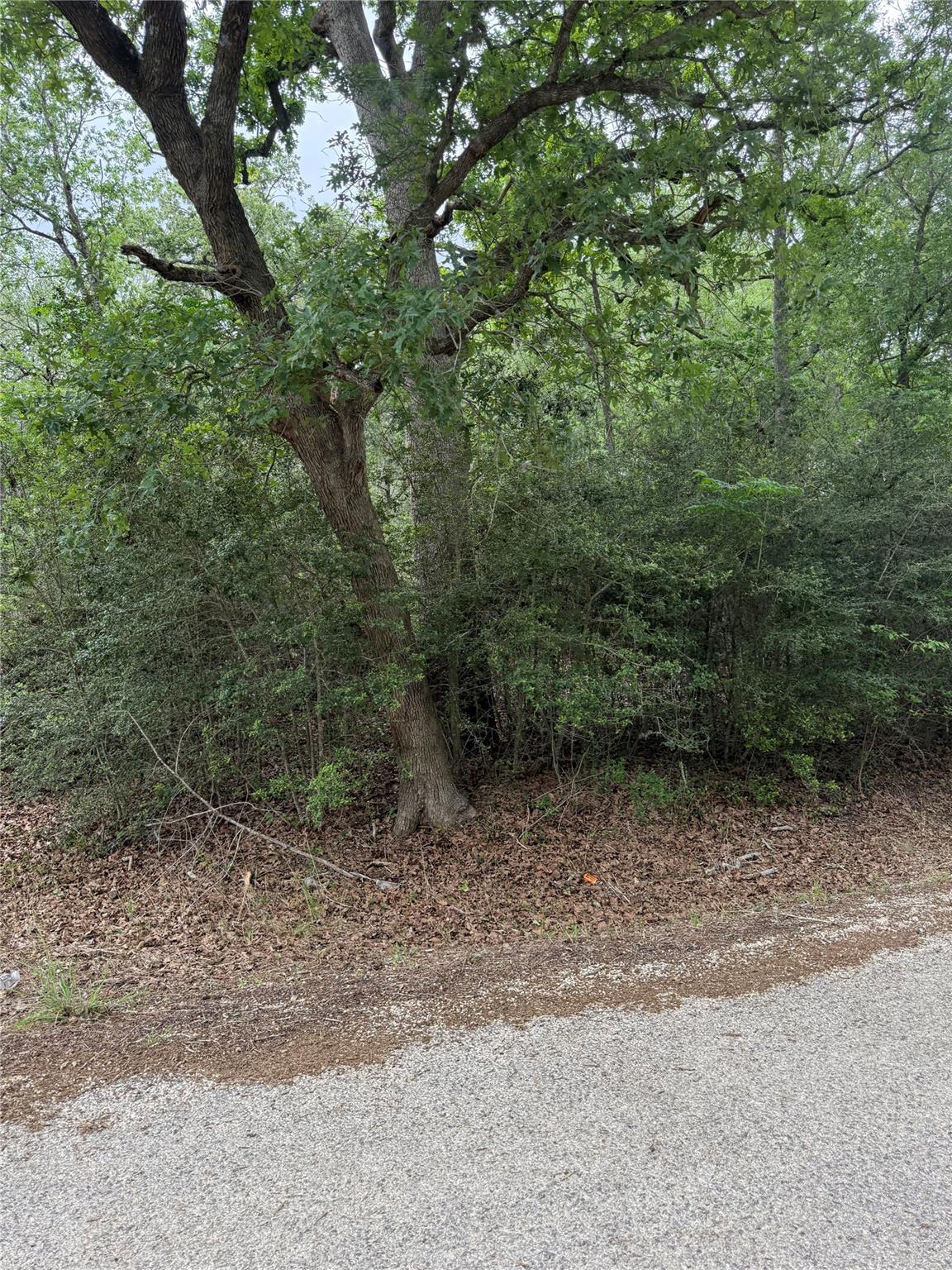 lot 70 Kaelepulu Dr, Bastrop, TX 78602