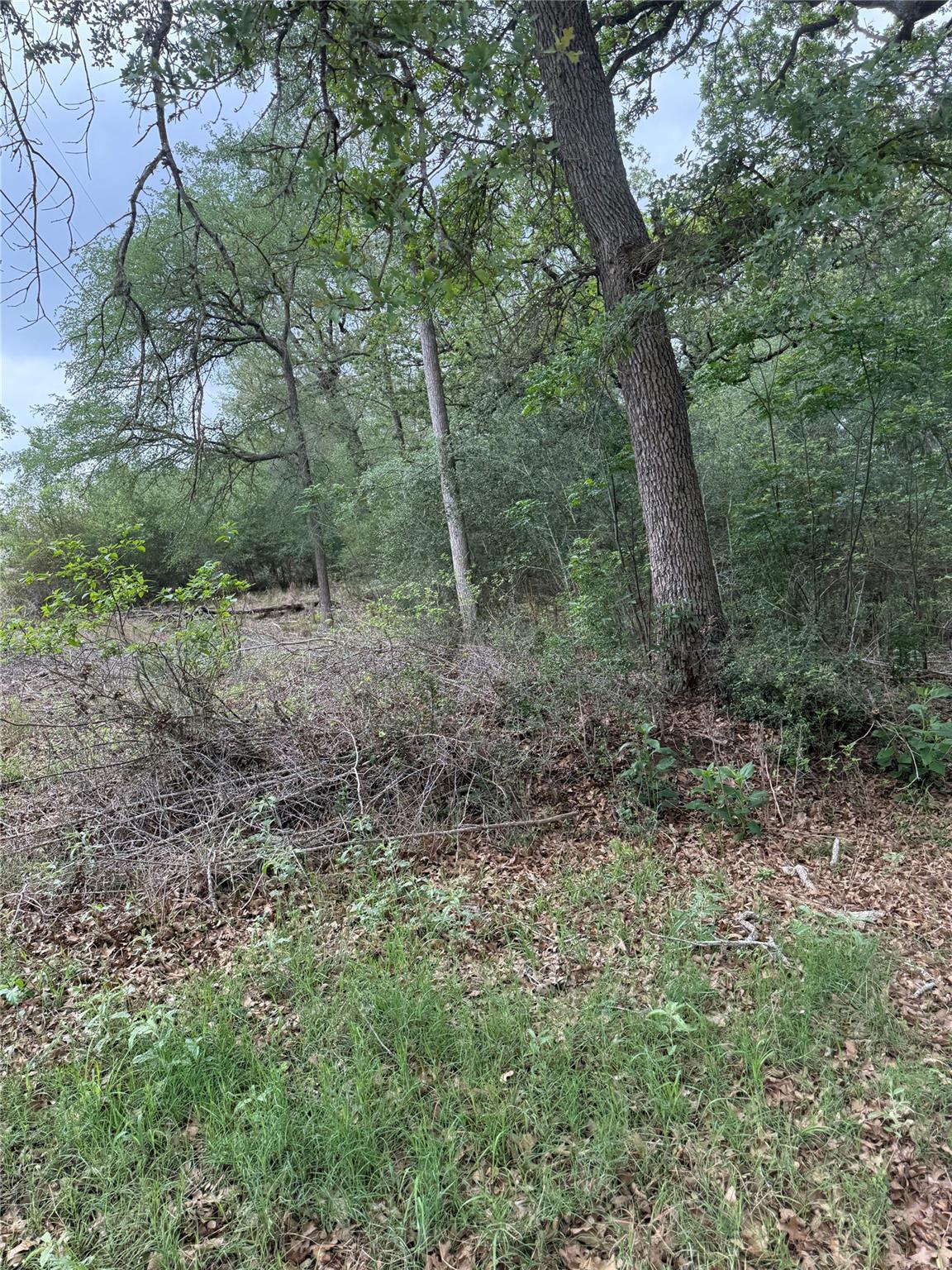 lot 70 Kaelepulu Dr, Bastrop, TX 78602