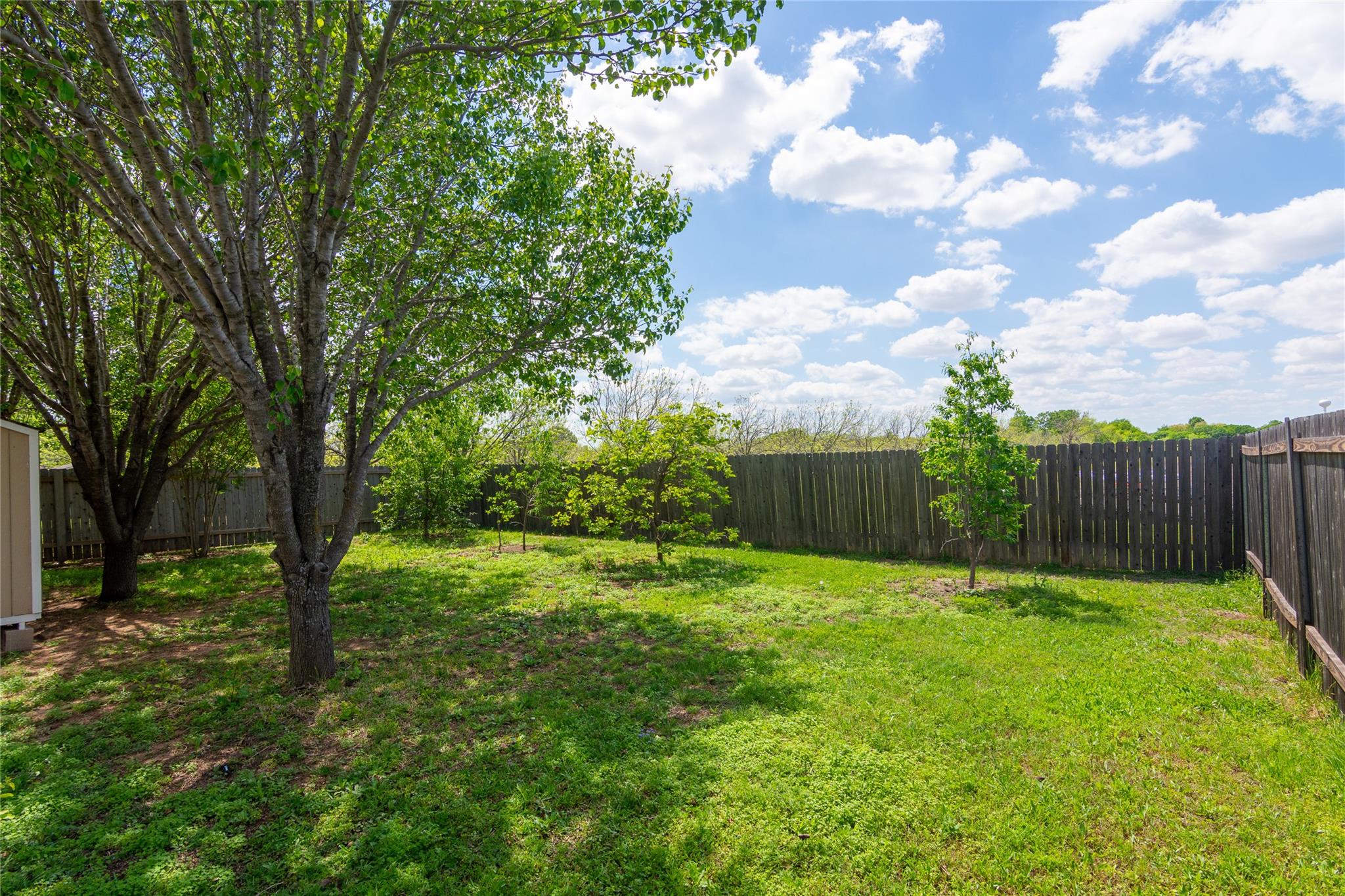 223 Herrera Trl, Hutto, TX 78634