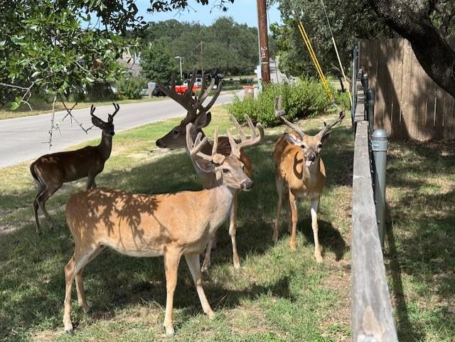 1106 Amanda, Canyon Lake, TX 78133