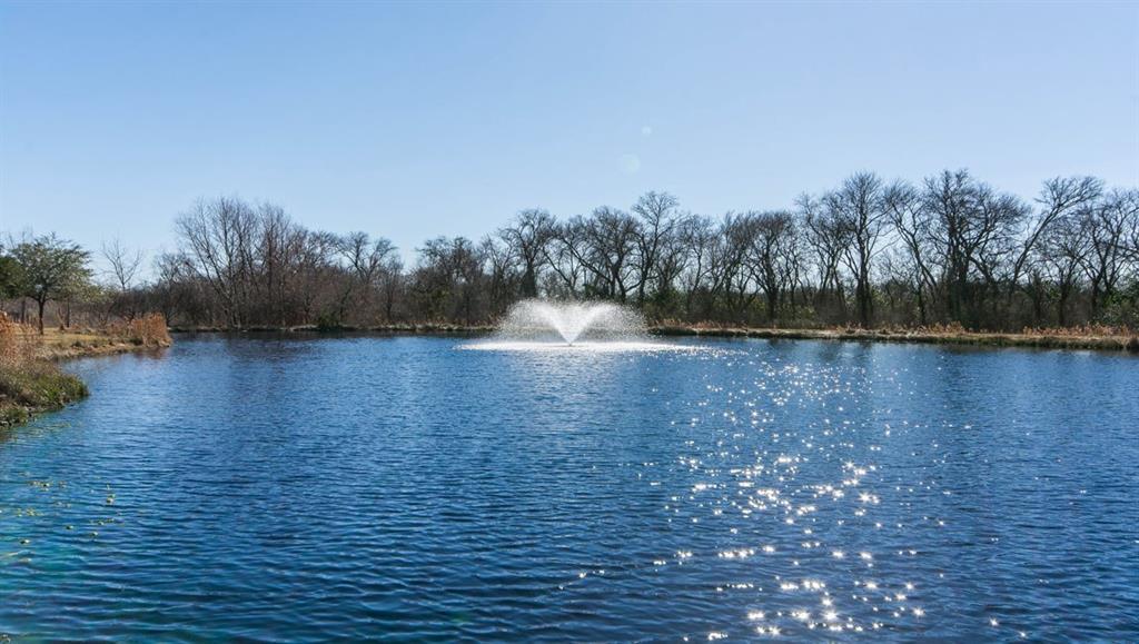 18401 NE FRIENDSHIP HILL Dr, Pflugerville, TX 78660