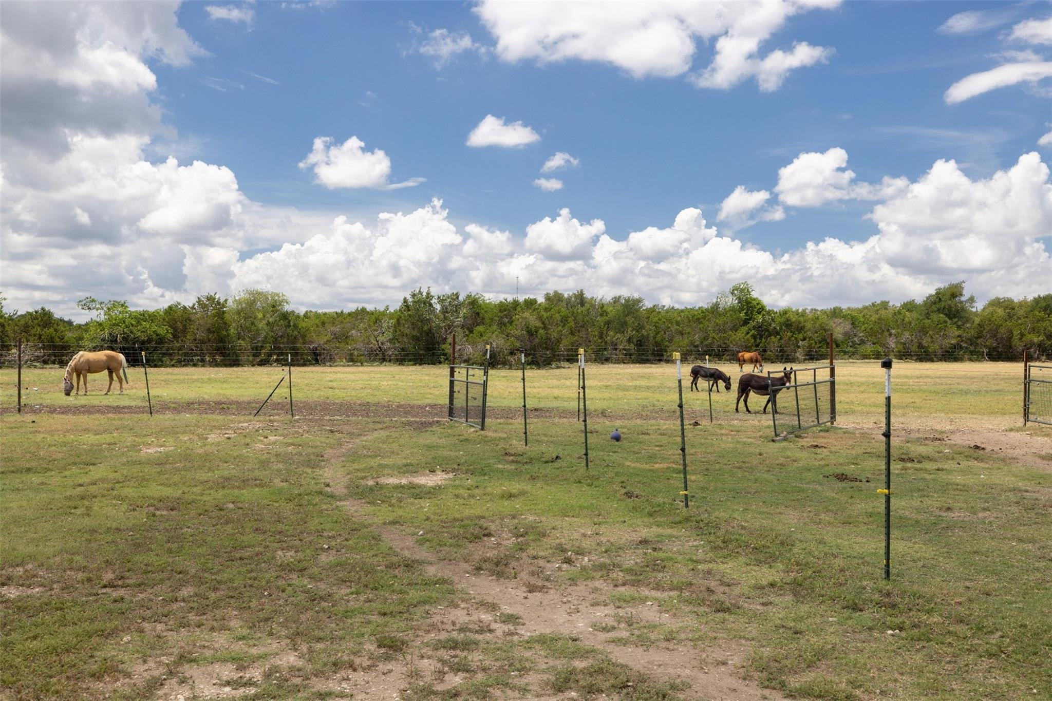 215 Mesa Vista Dr, Leander, TX 78641