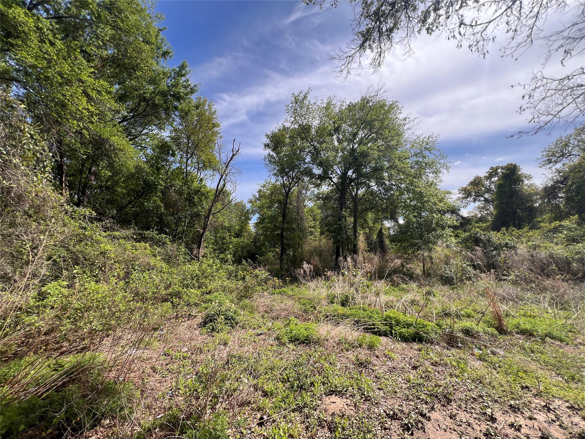 3960 County Road 324, Caldwell, TX 77836
