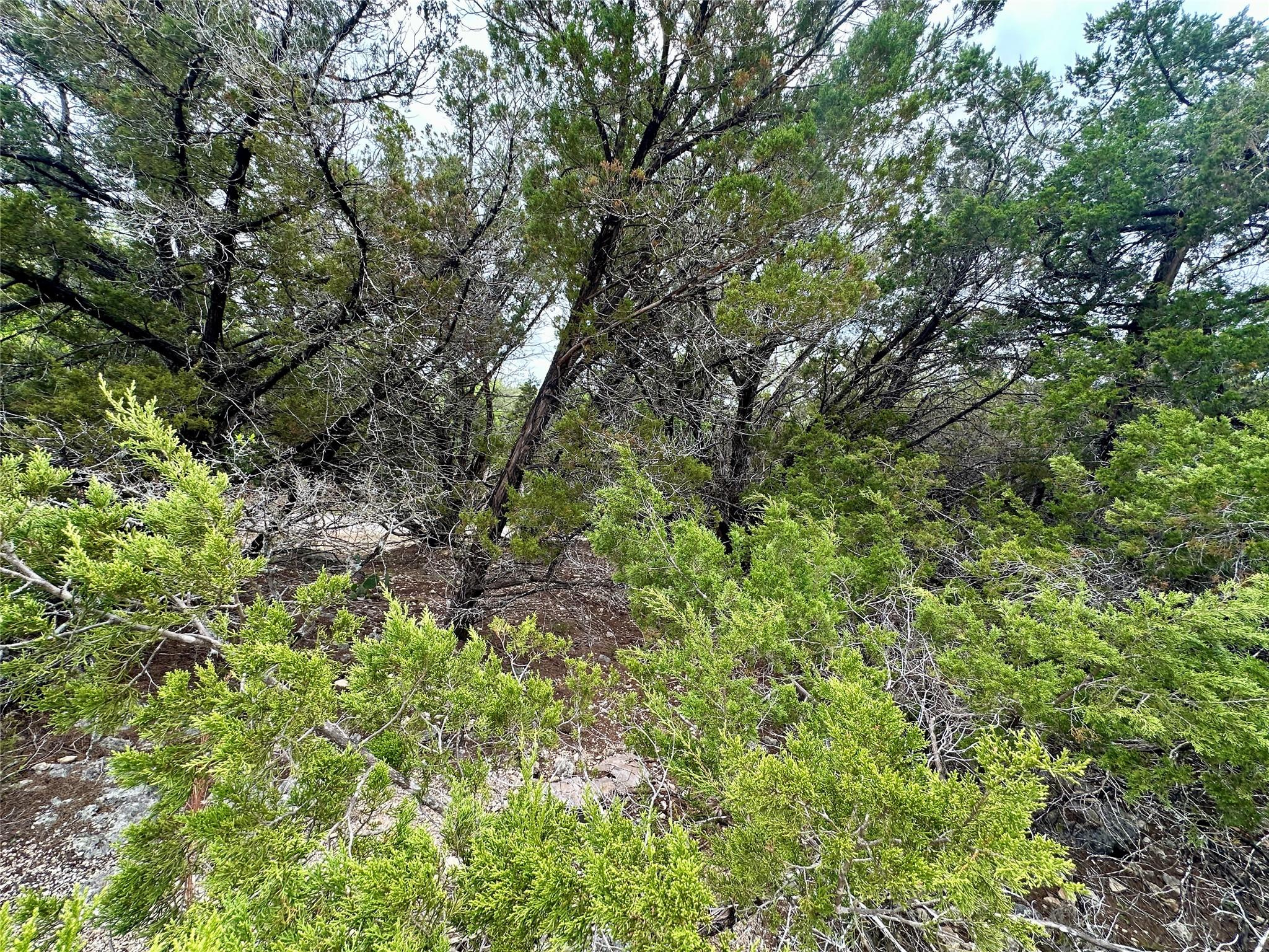 20732 Camel Back St, Lago Vista, TX 78645